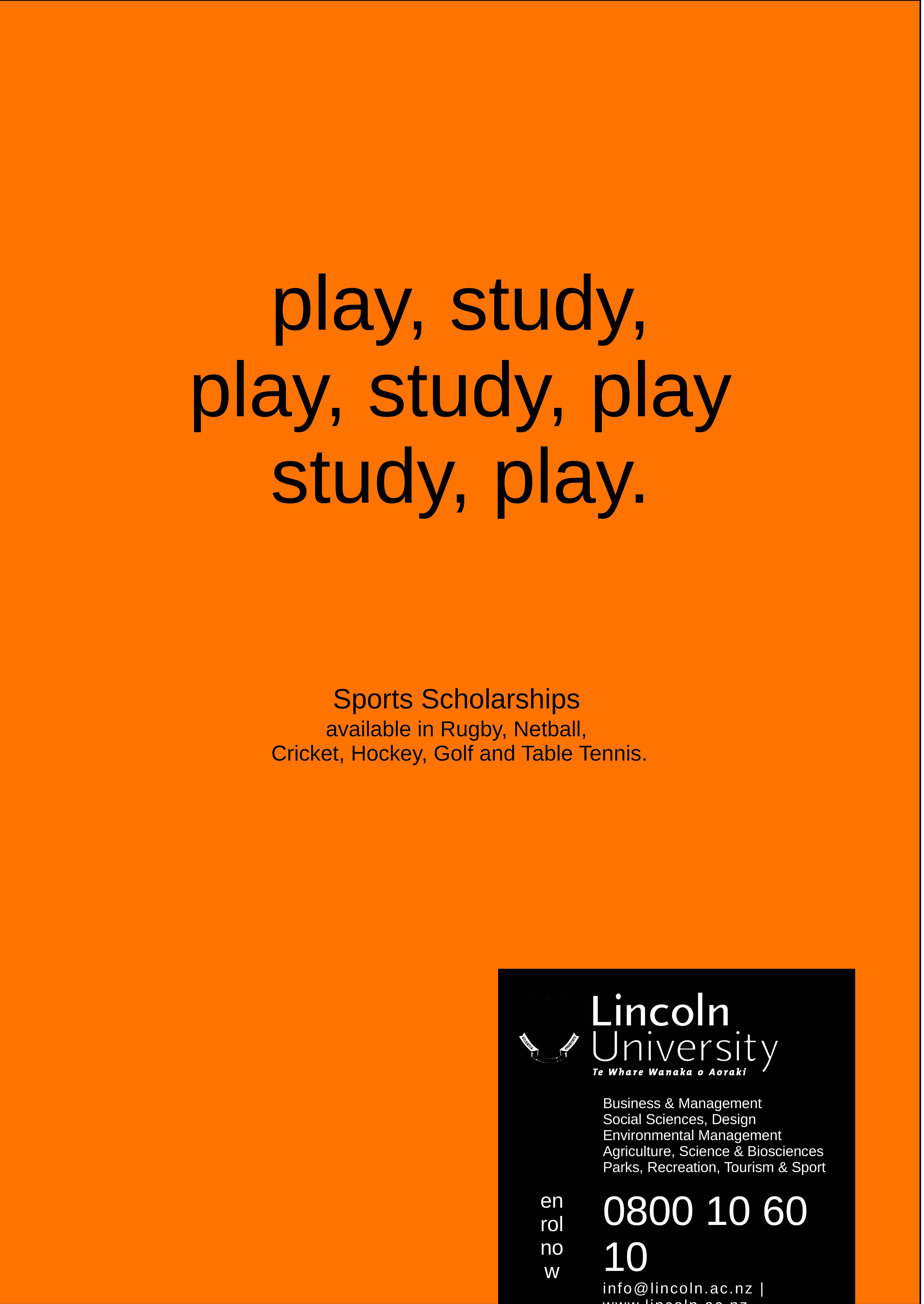 2005 Sports Scholarship Poster 3