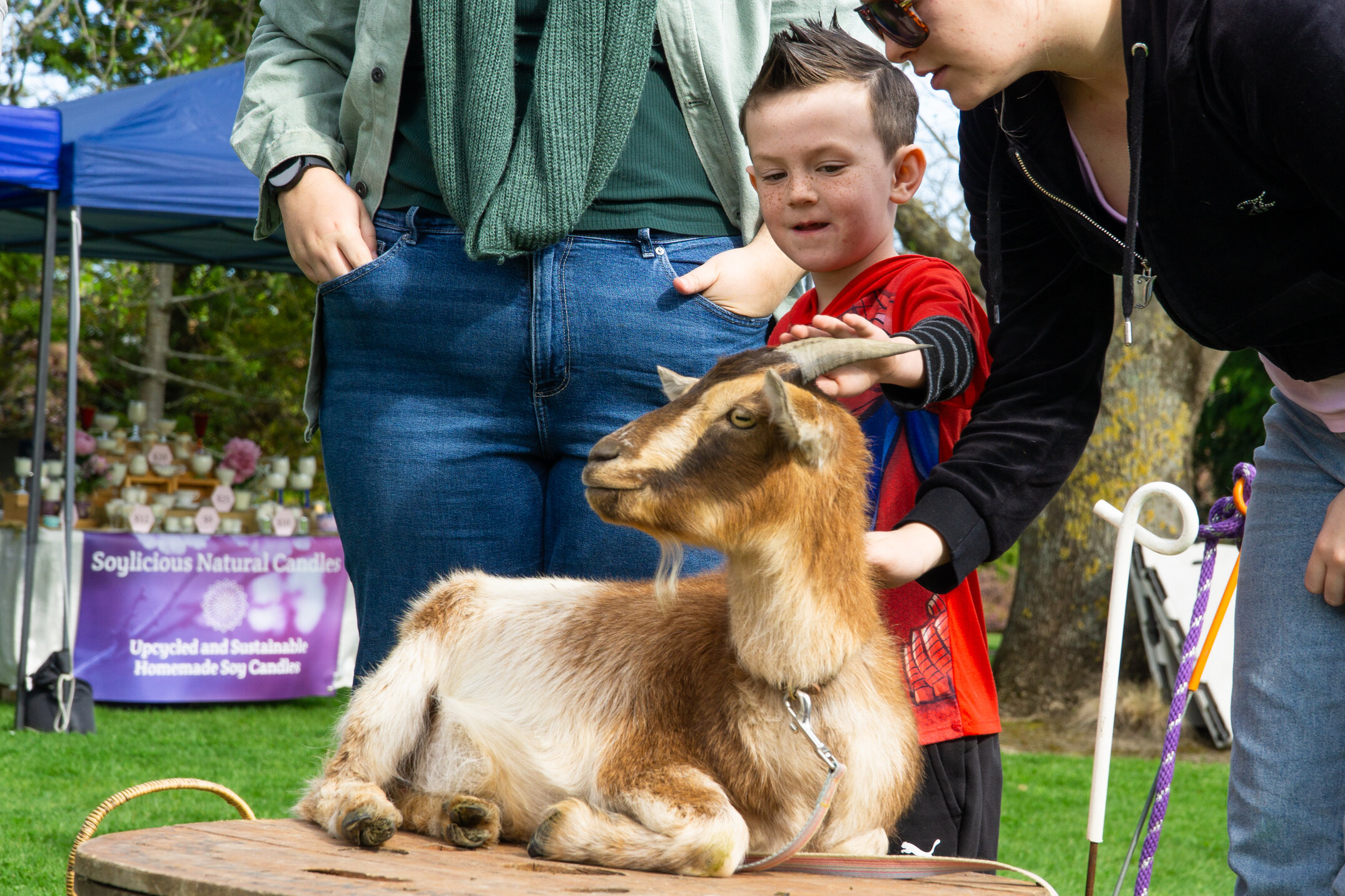 2024 Lincoln Community Day (9)