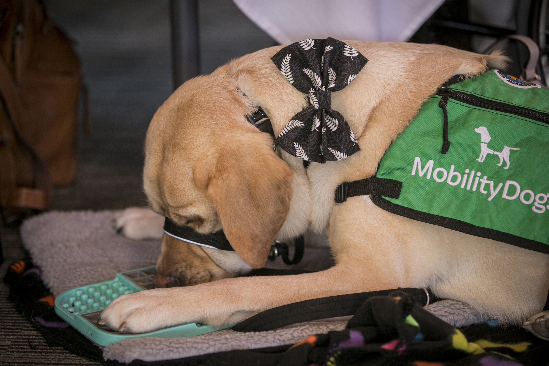 2024  Lincoln University Blues &amp; Golds Ceremony 045