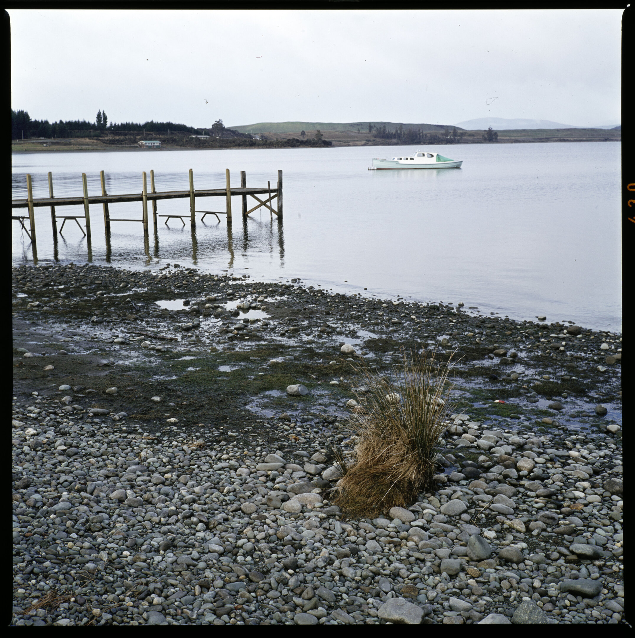 1972 Manapouri pilot study 12