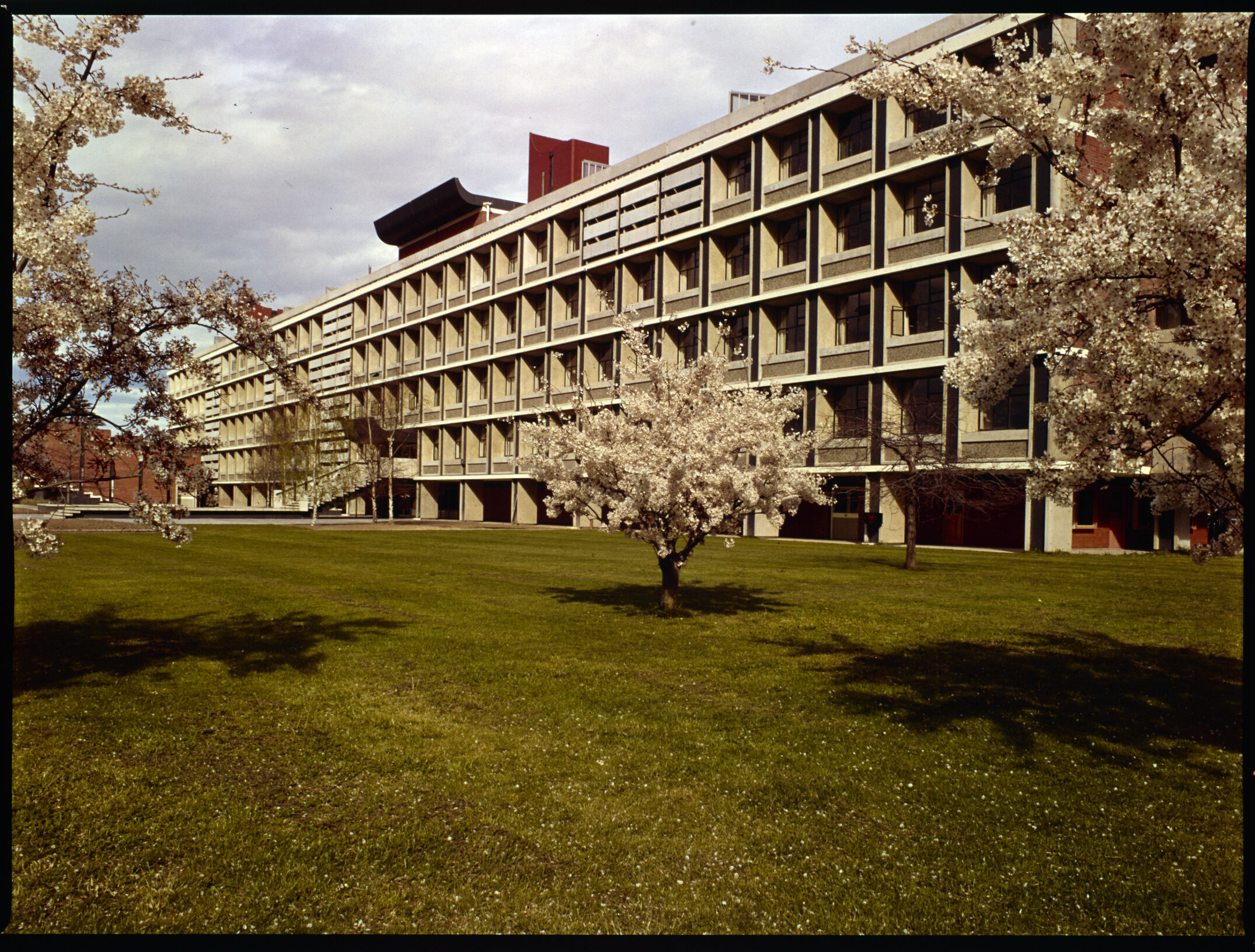 Hilgendorf building in spring, 1977