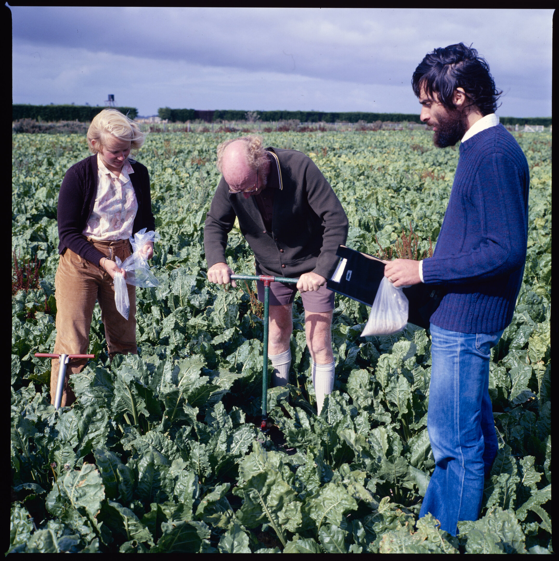 Plant Science Staff and students in field, 1977 (1)