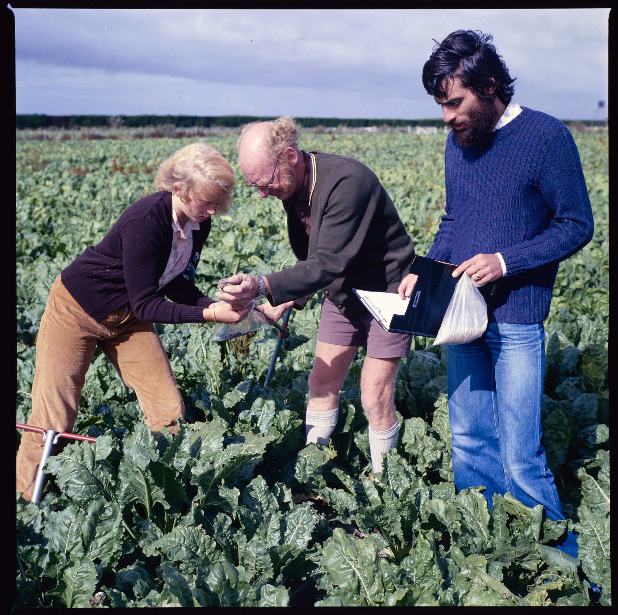 Plant Science Staff and students in field, 1977 (5)
