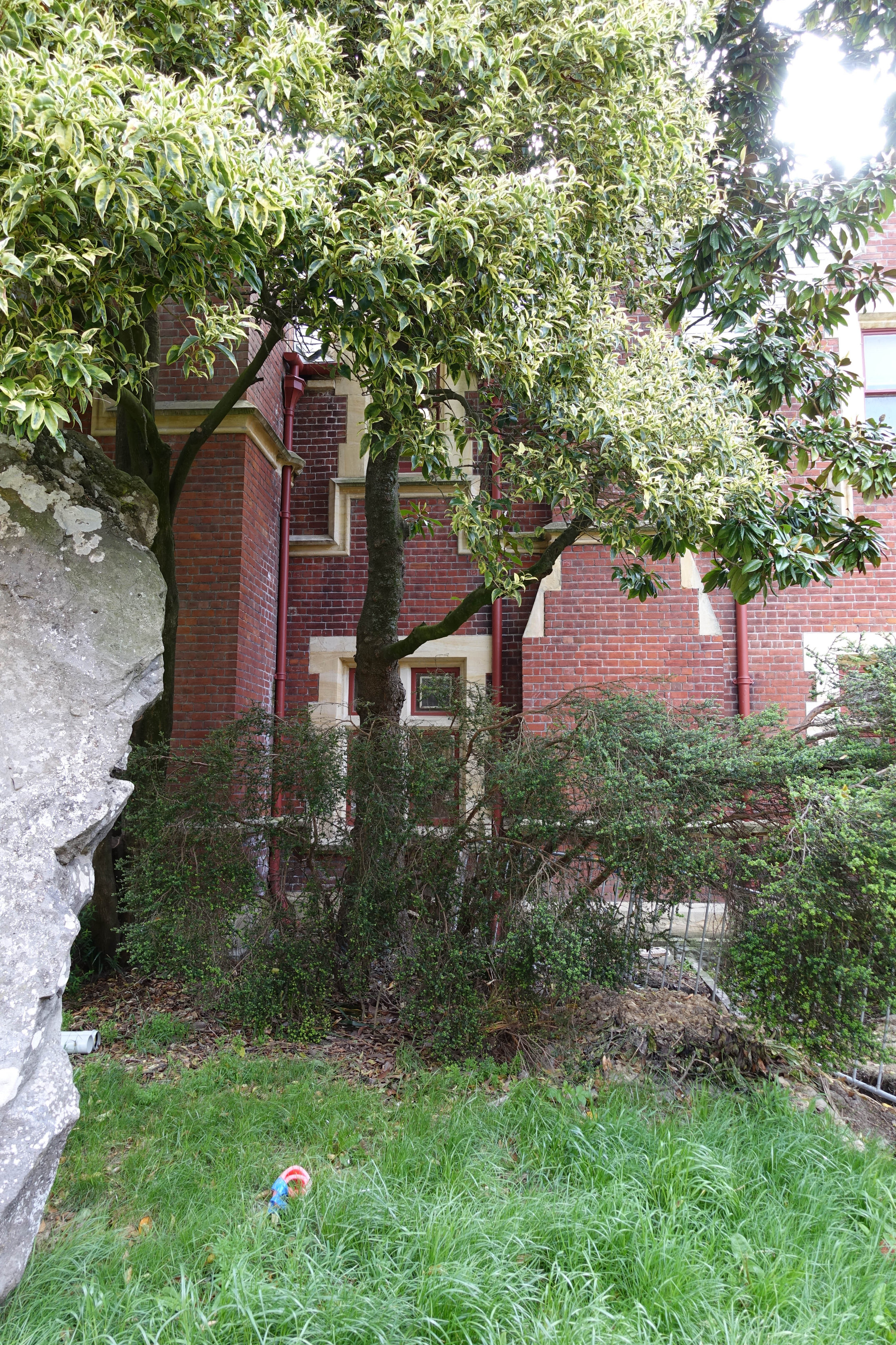 2018 Ivey Hall and Memorial Hall (1)