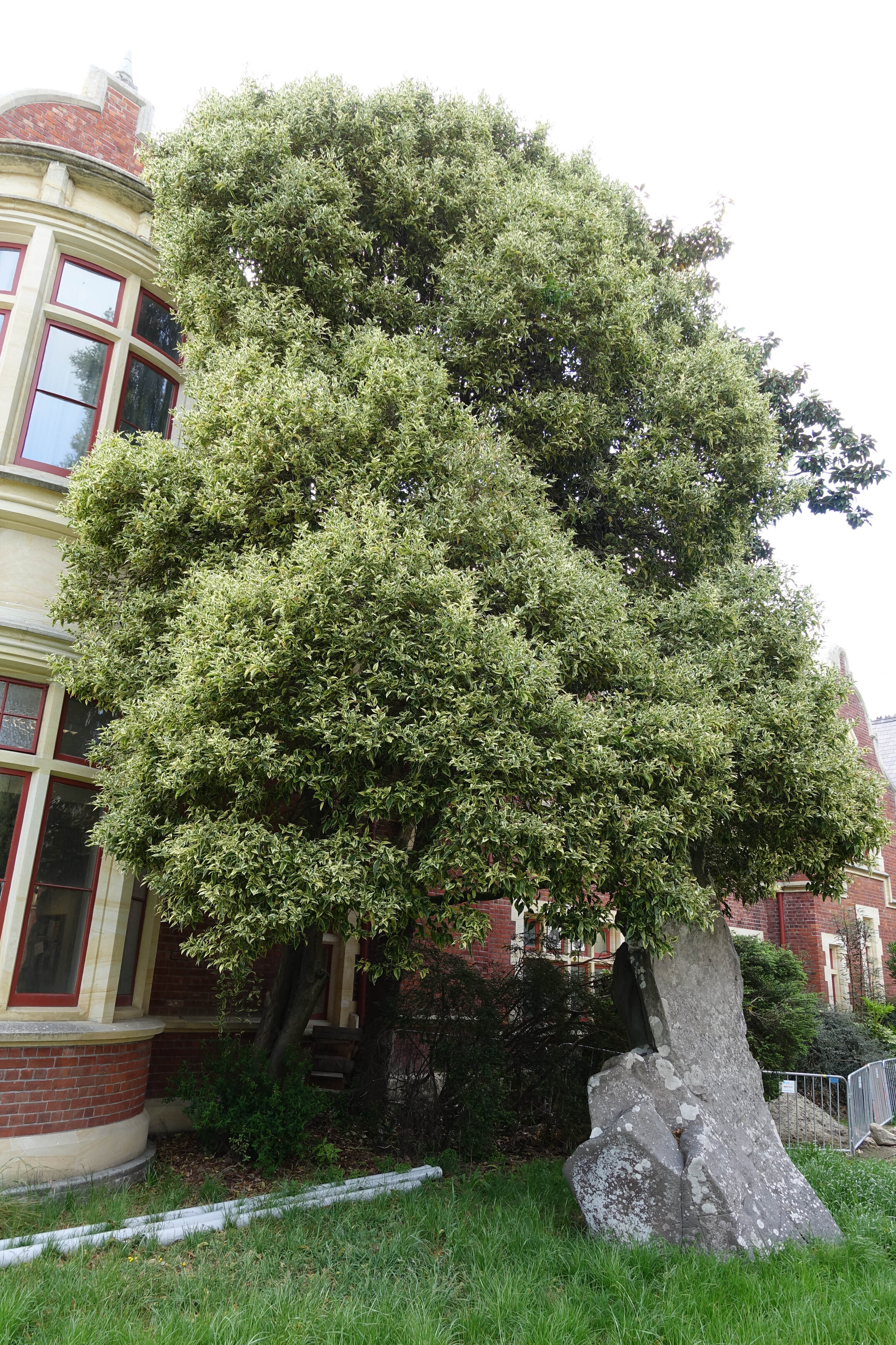 2018 Ivey Hall and Memorial Hall (7)