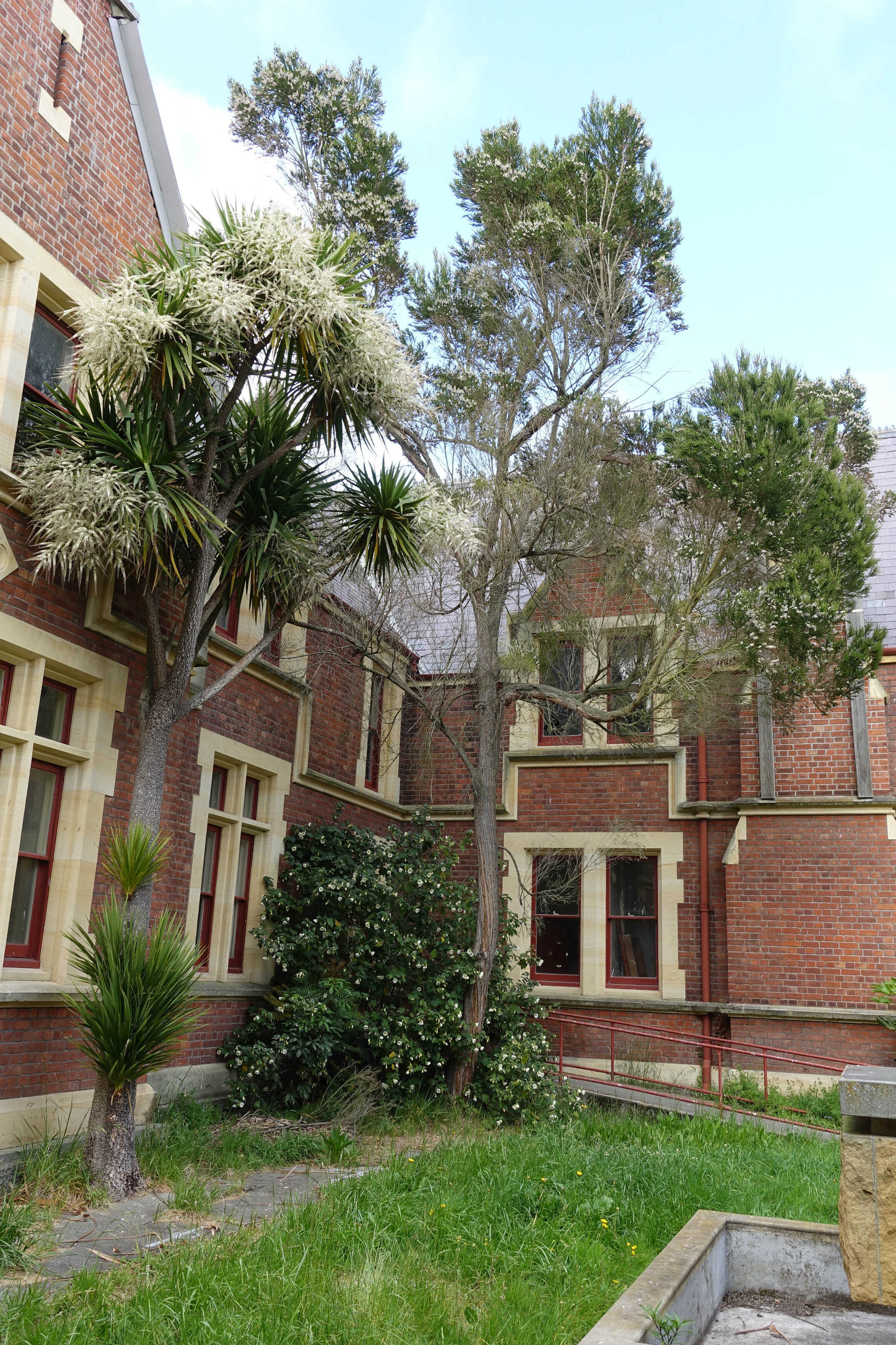 2018 Ivey Hall and Memorial Hall (24)