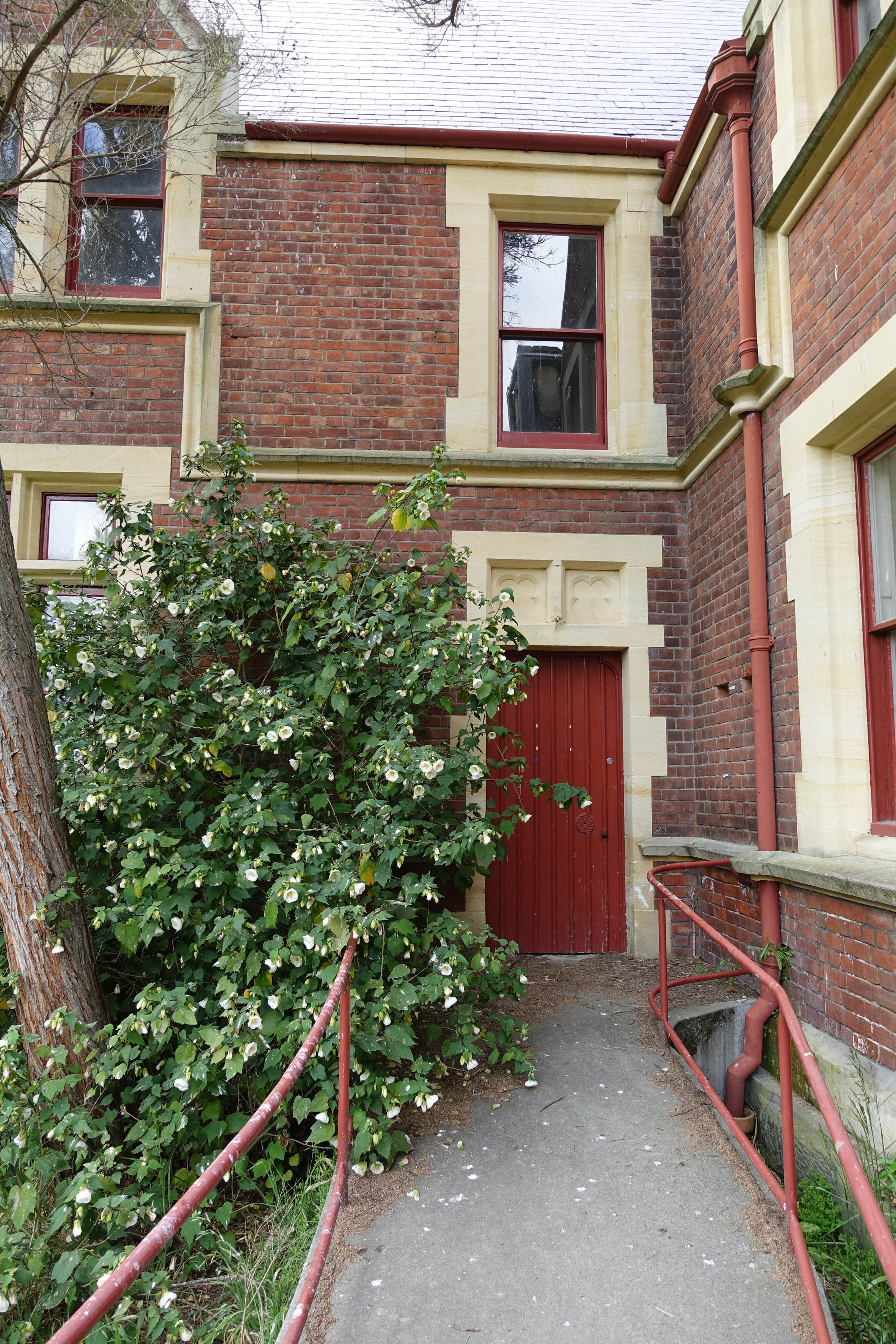 2018 Ivey Hall and Memorial Hall (29)