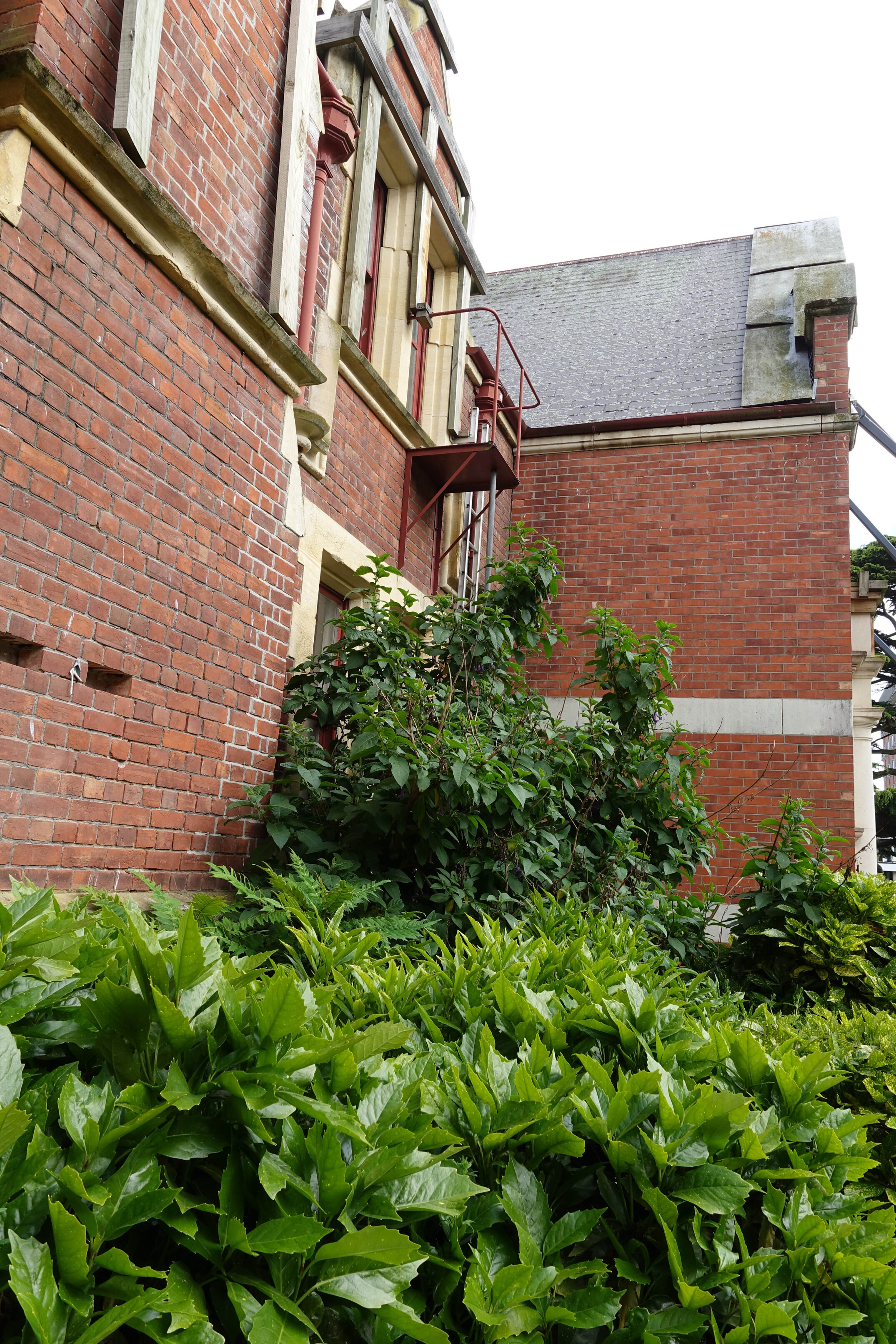 2018 Ivey Hall and Memorial Hall (40)