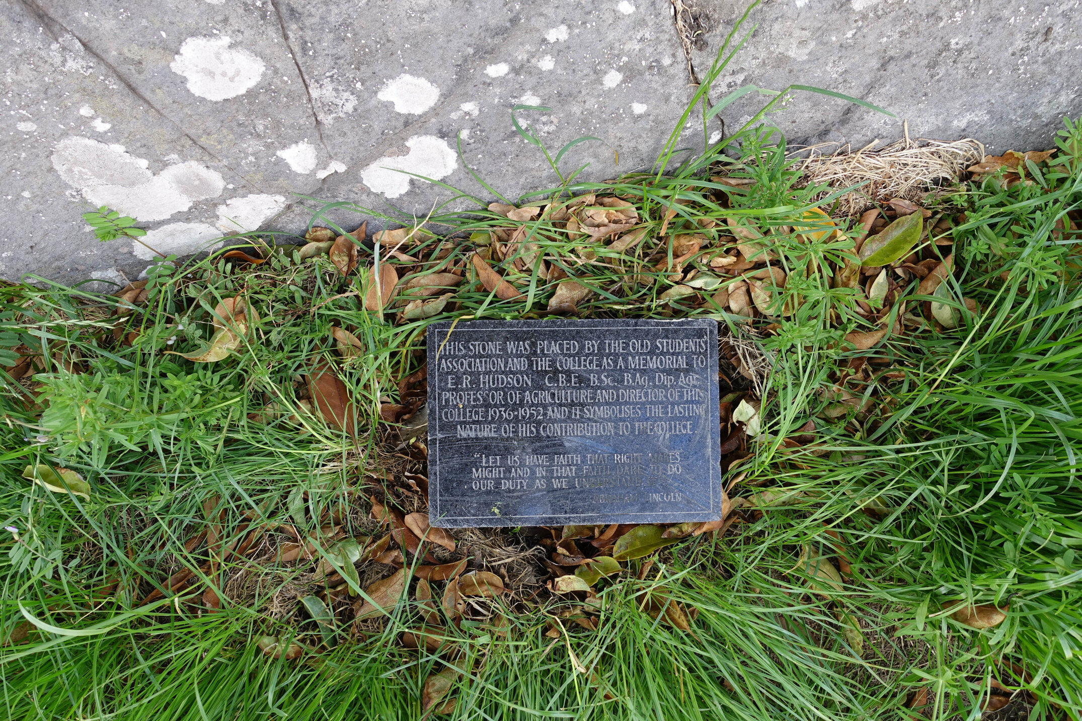 2018 Ivey Hall and Memorial Hall (52)