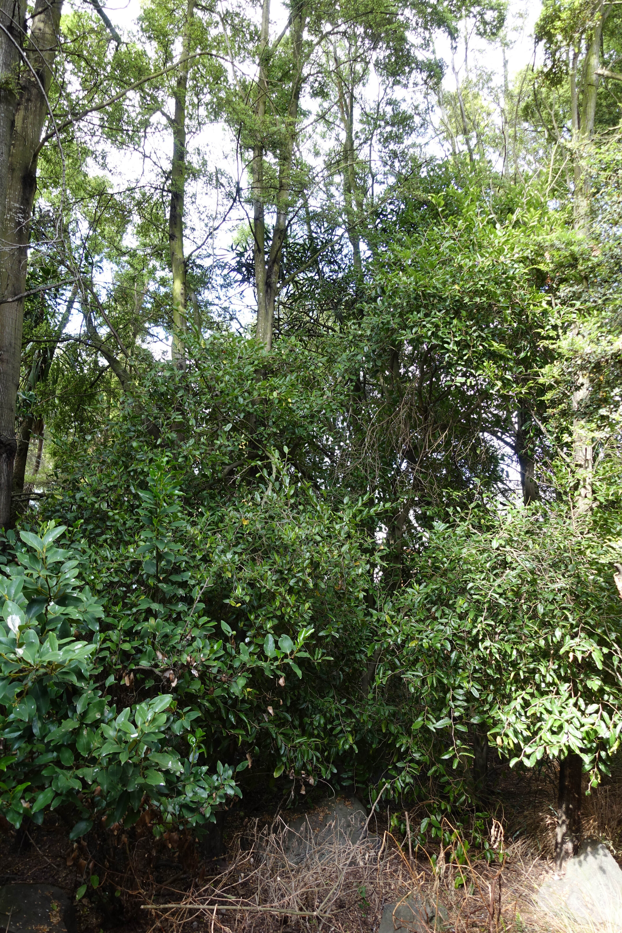 2018 Ivey Hall and Memorial Hall (79)