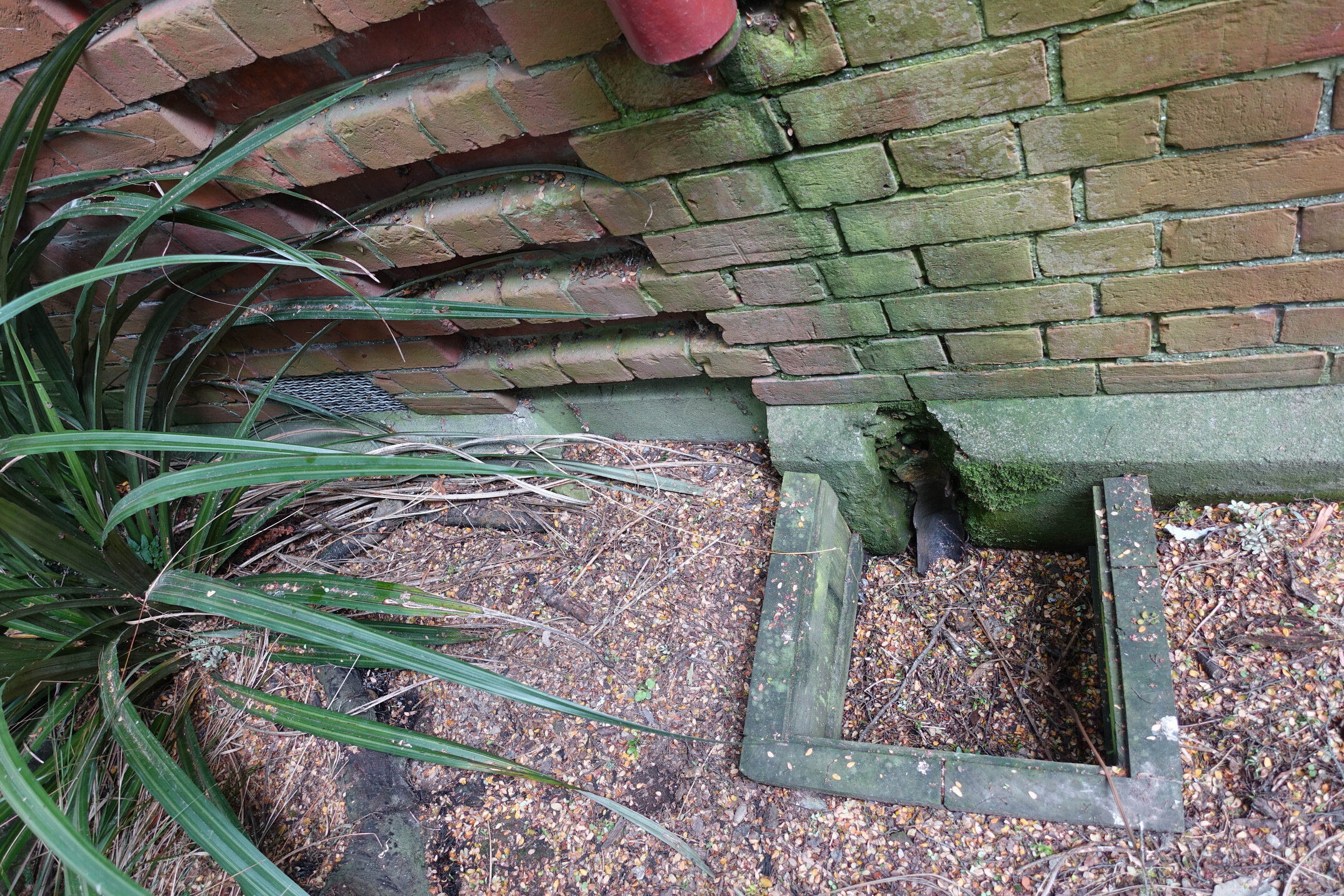 2018 Ivey Hall and Memorial Hall (81)