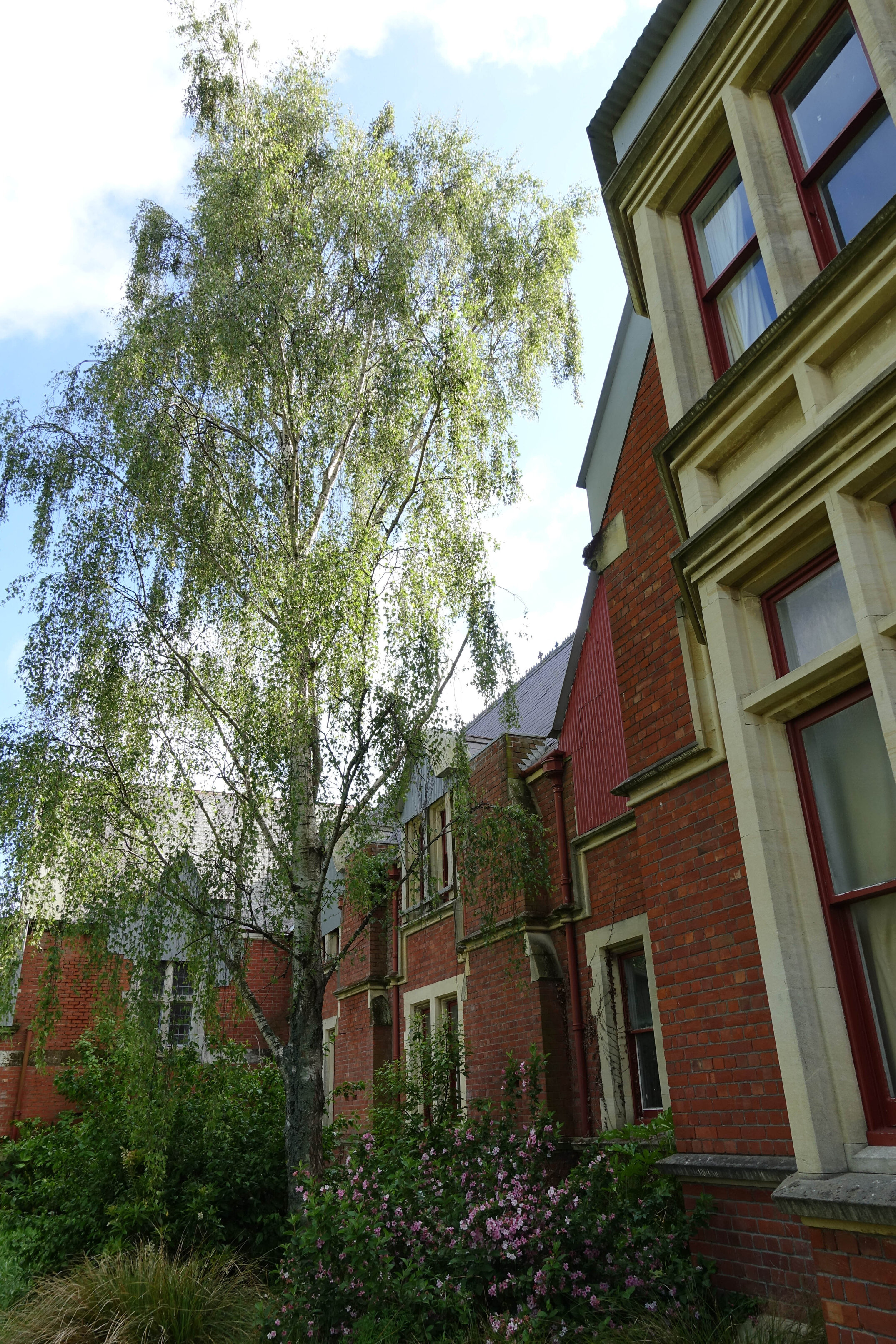 2018 Ivey Hall and Memorial Hall (83)