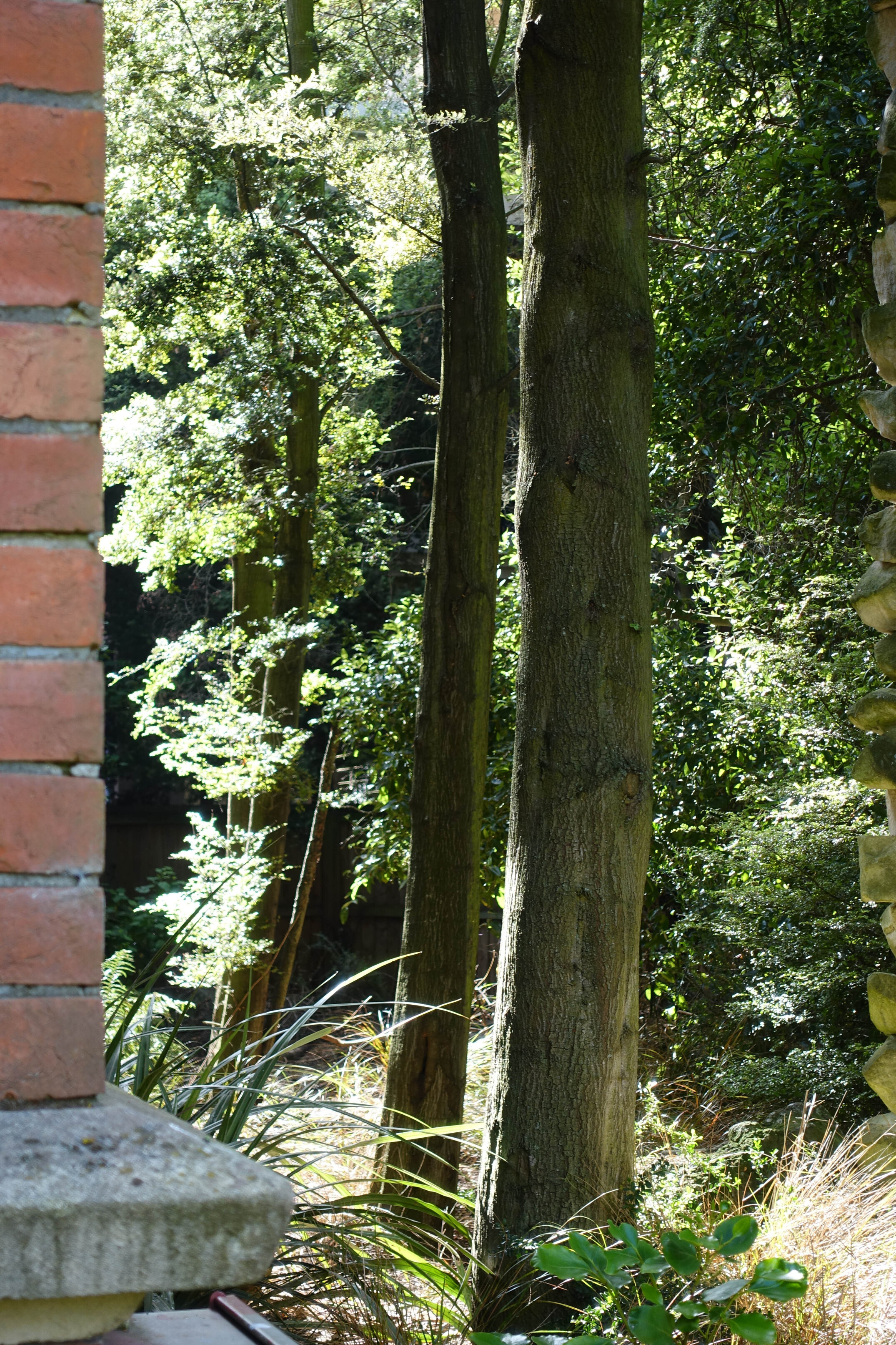 2018 Ivey Hall and Memorial Hall (84)