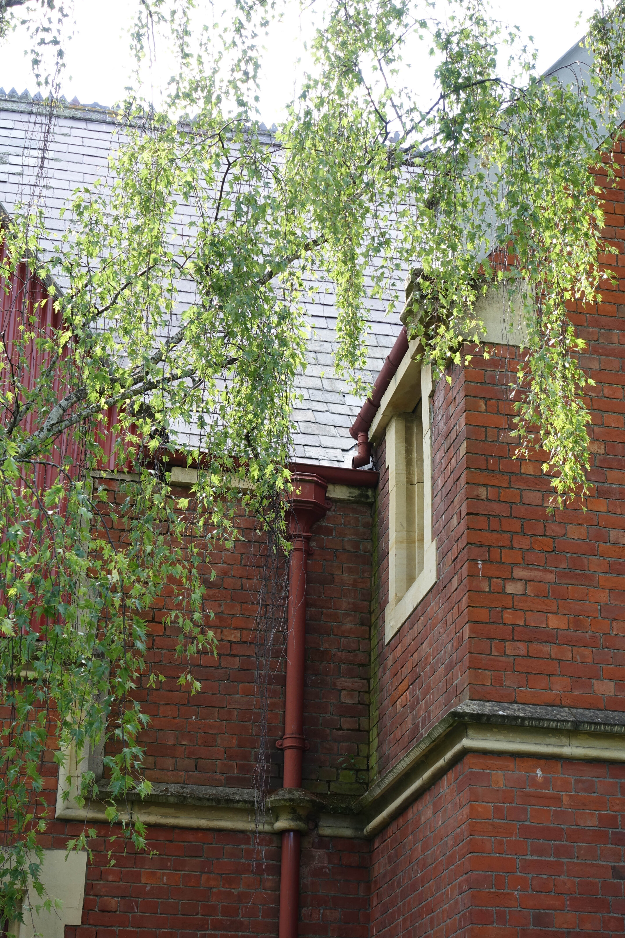 2018 Ivey Hall and Memorial Hall (86)