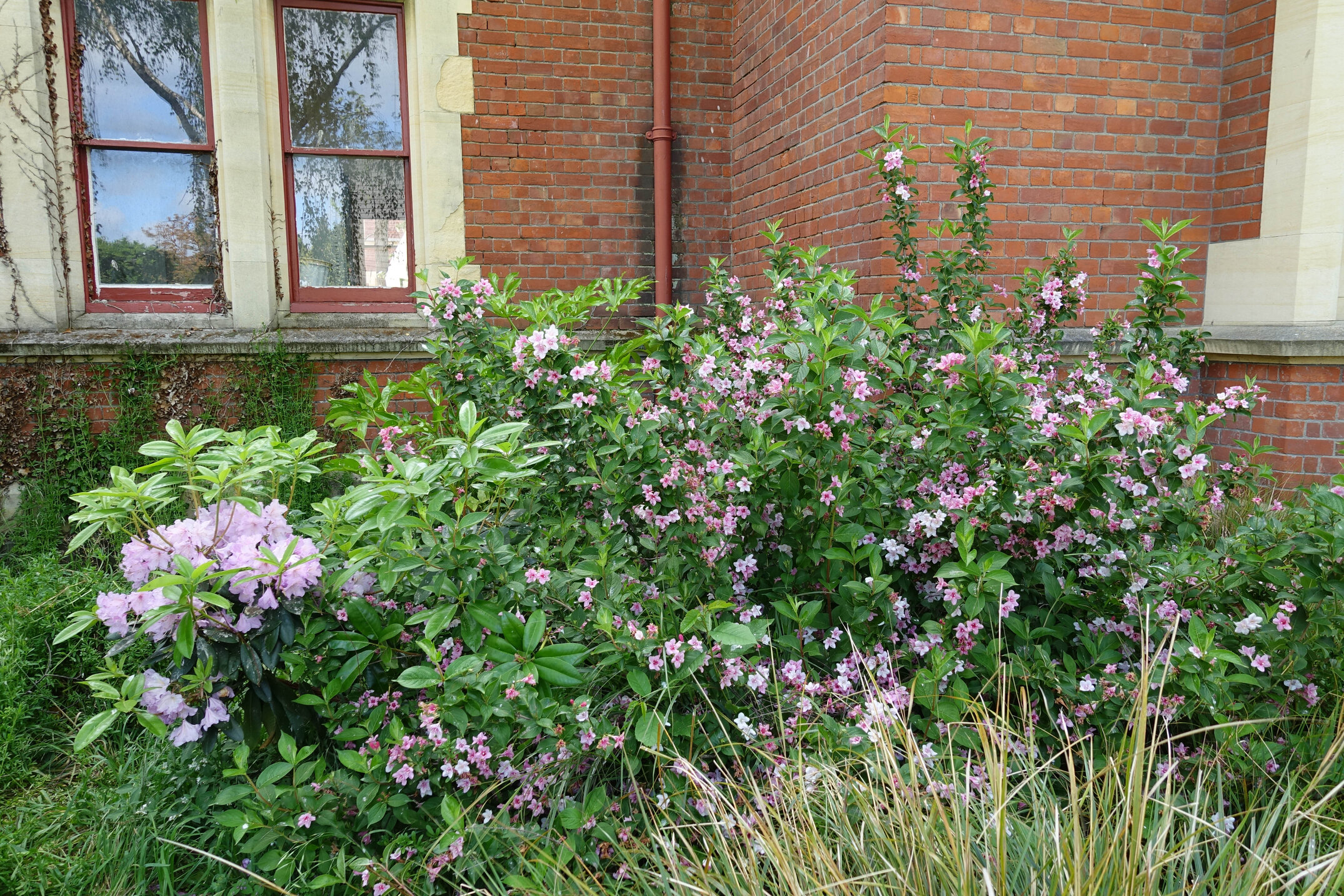 2018 Ivey Hall and Memorial Hall (88)