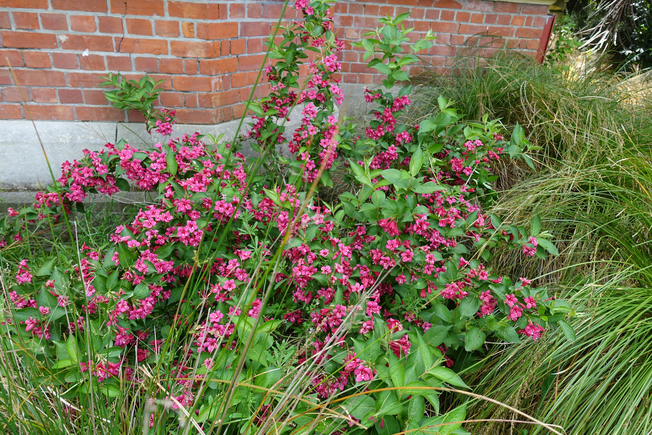 2018 Ivey Hall and Memorial Hall (89)