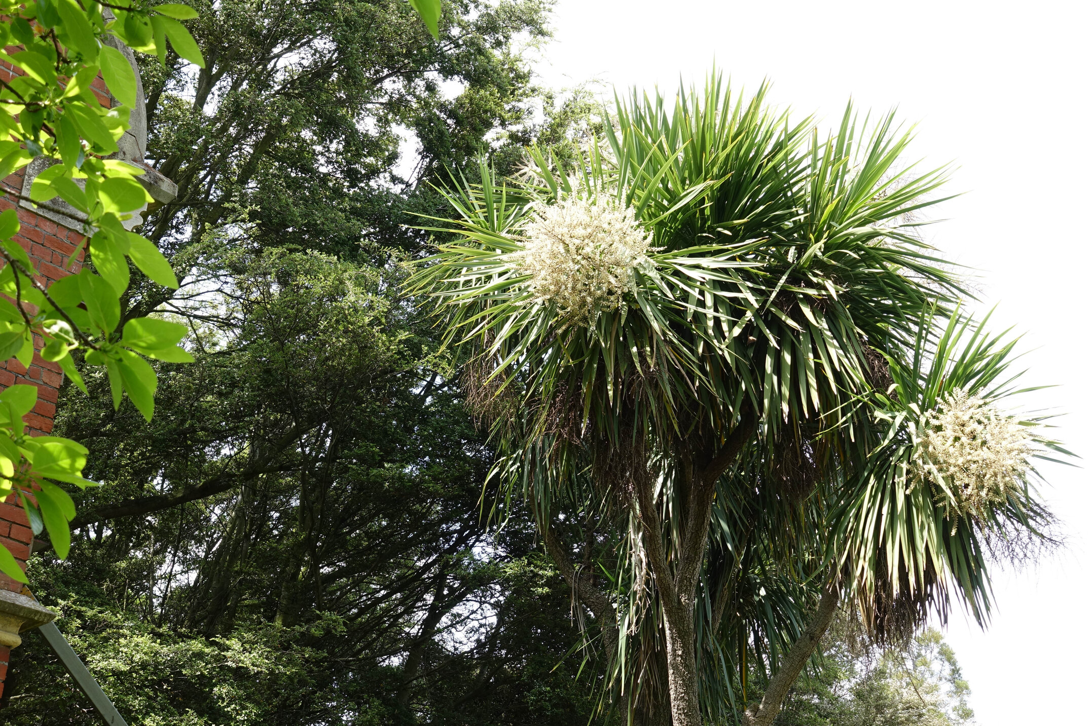 2018 Ivey Hall garden 02