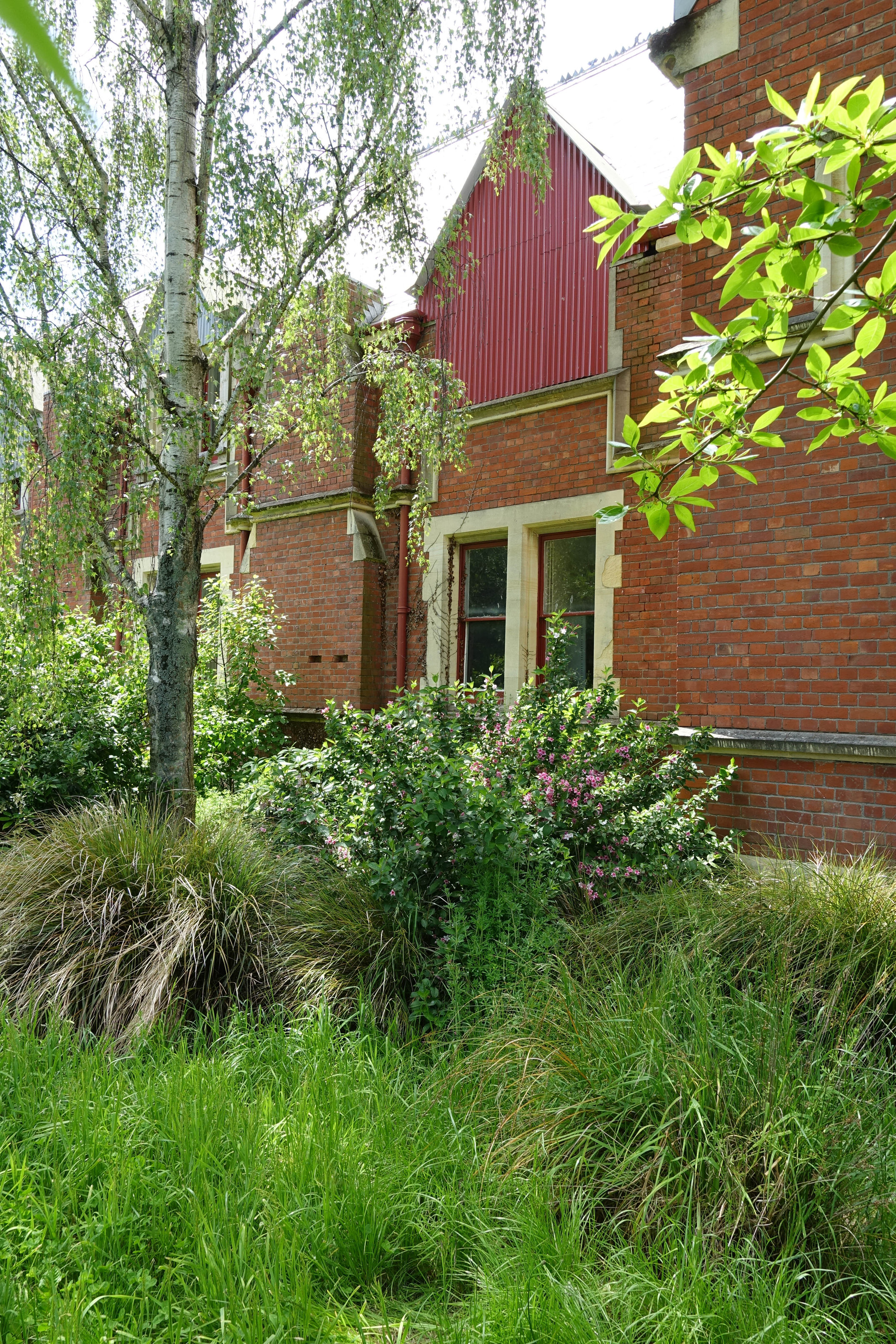 2018 Ivey Hall garden 01