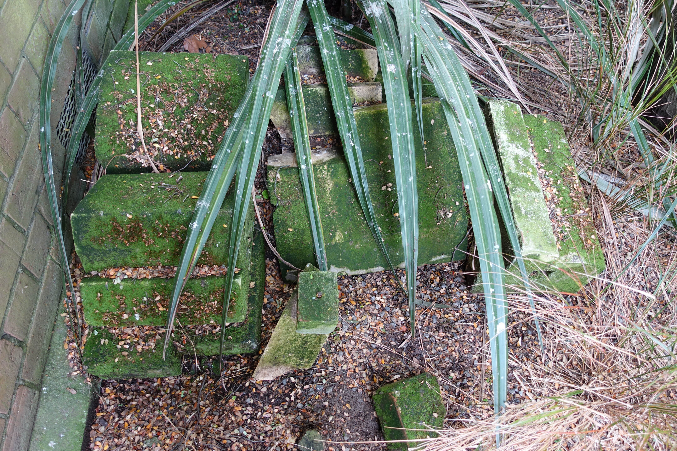 2018 Ivey Hall garden 05