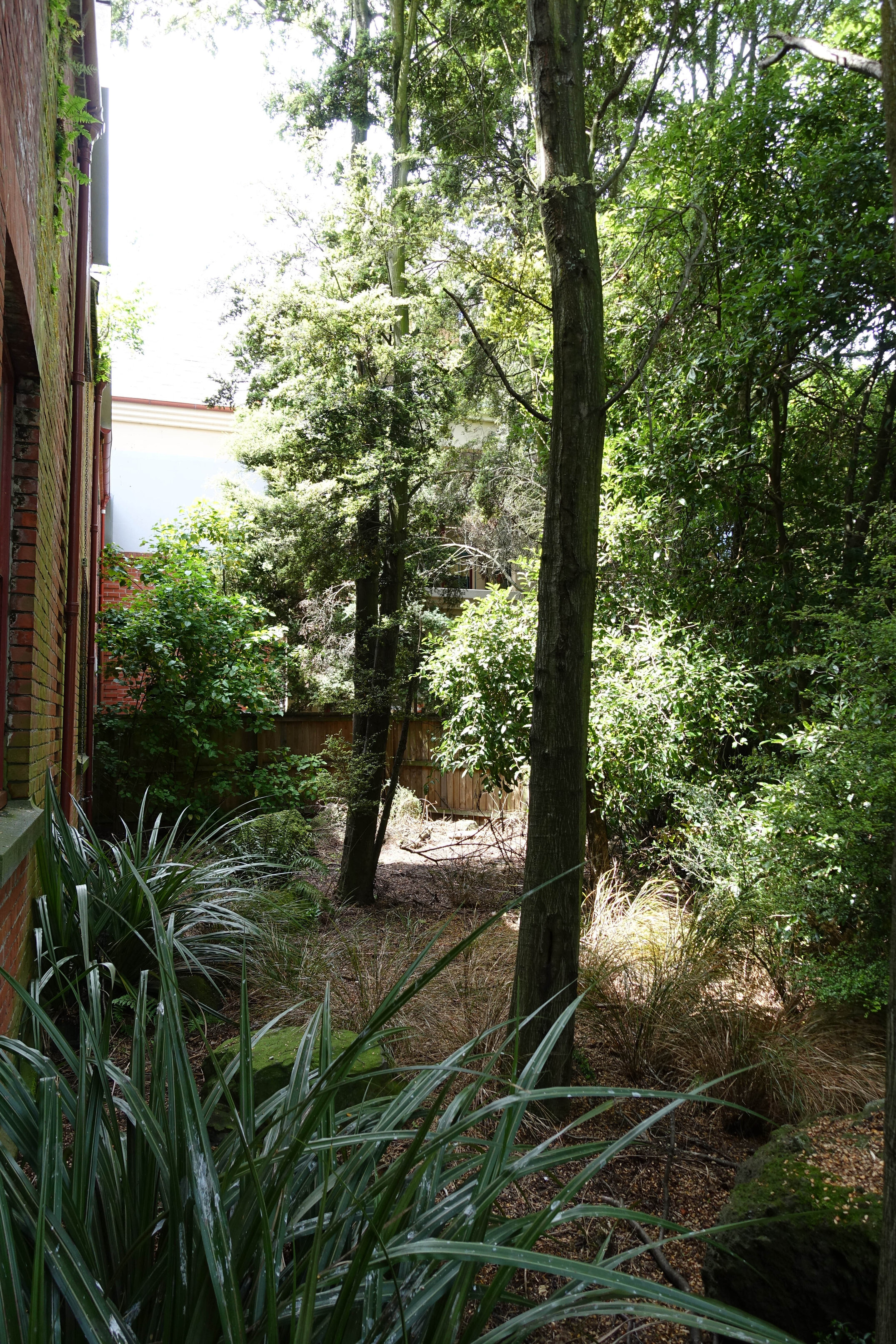 2018 Ivey Hall garden 06