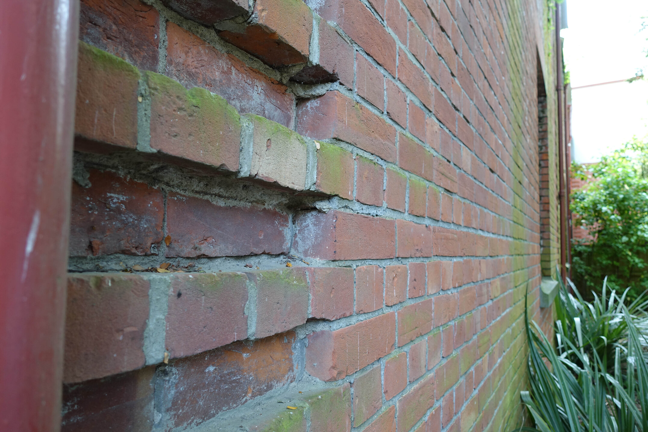 2018 Ivey Hall garden 04