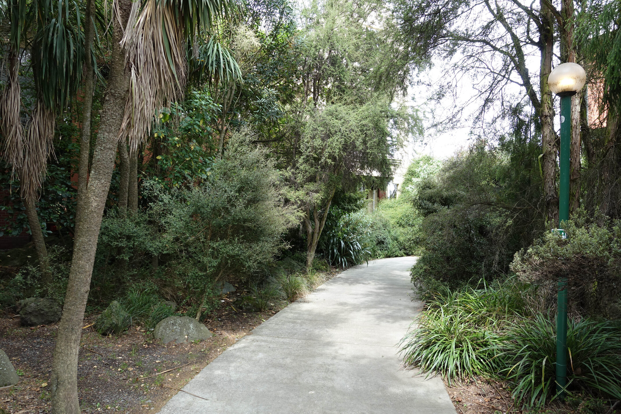 2018 Ivey Hall garden 07