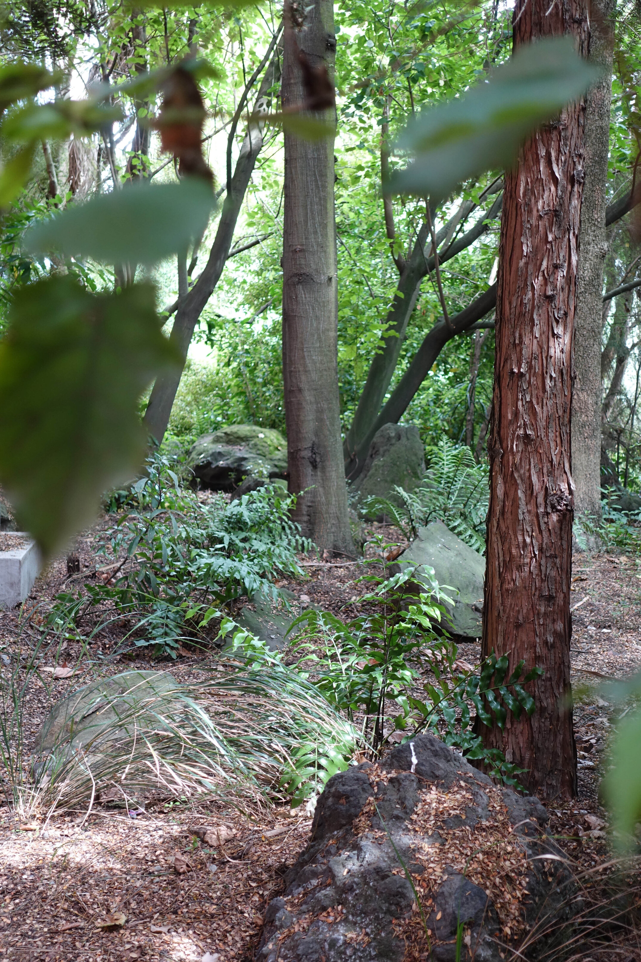 2018 Ivey Hall garden 09