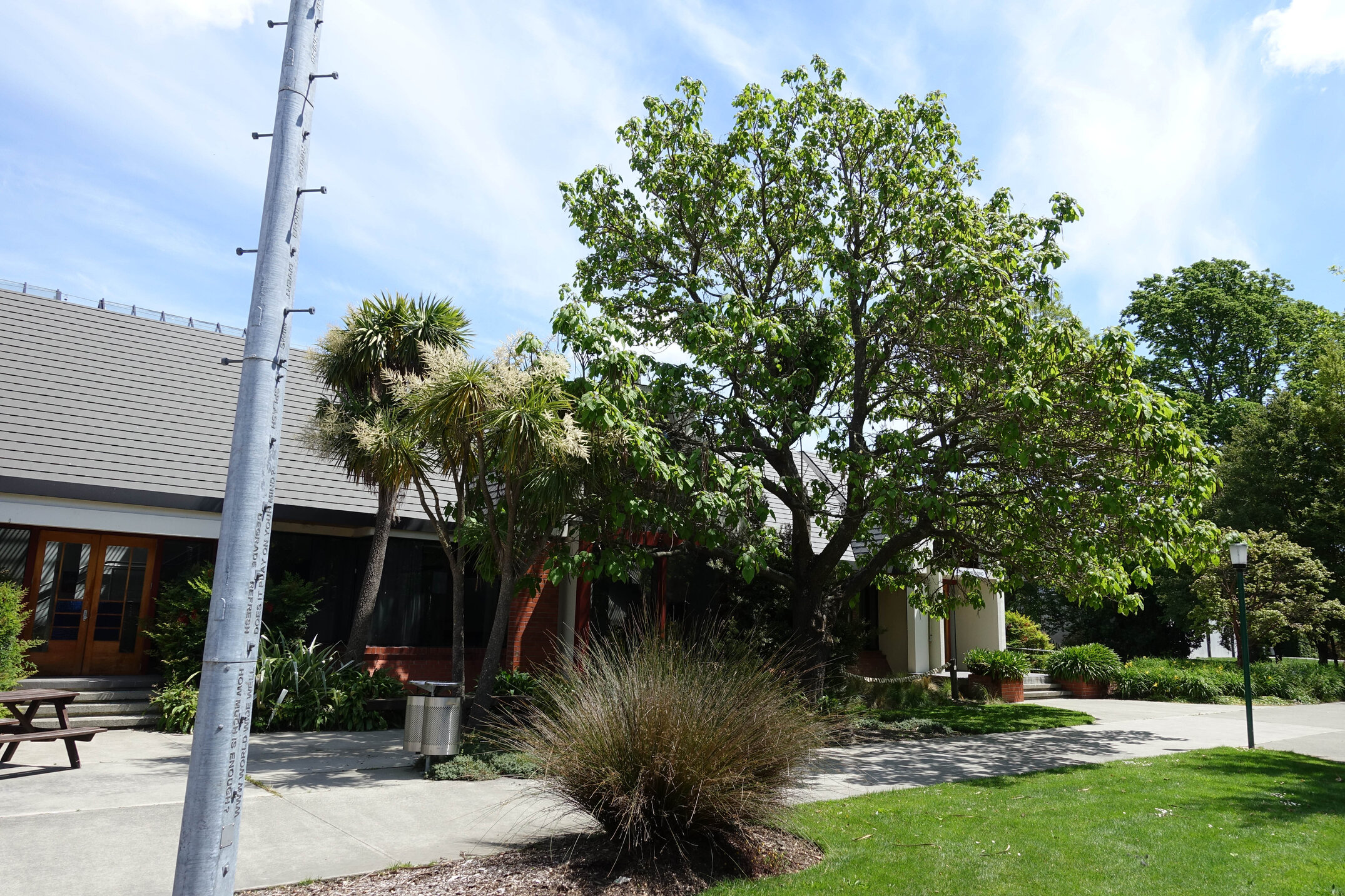 2018 Sculpture and Stewart Building 01