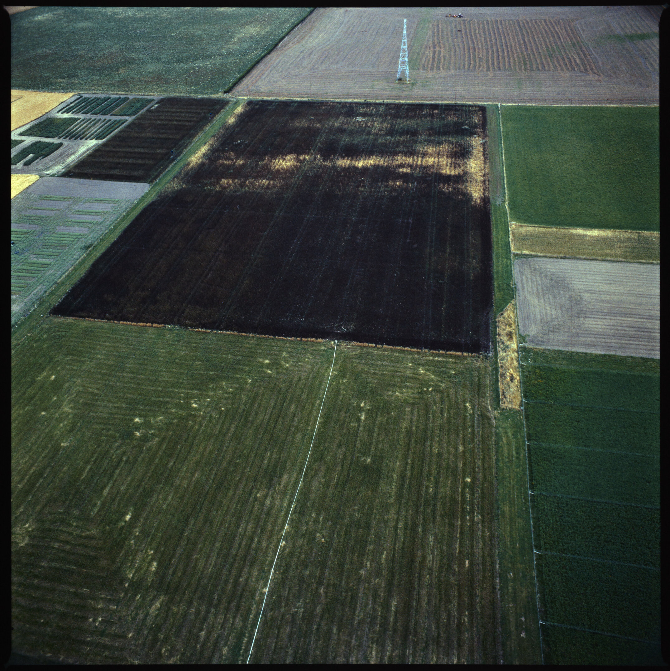 Aerial view of Henley Block, 1984 (04)