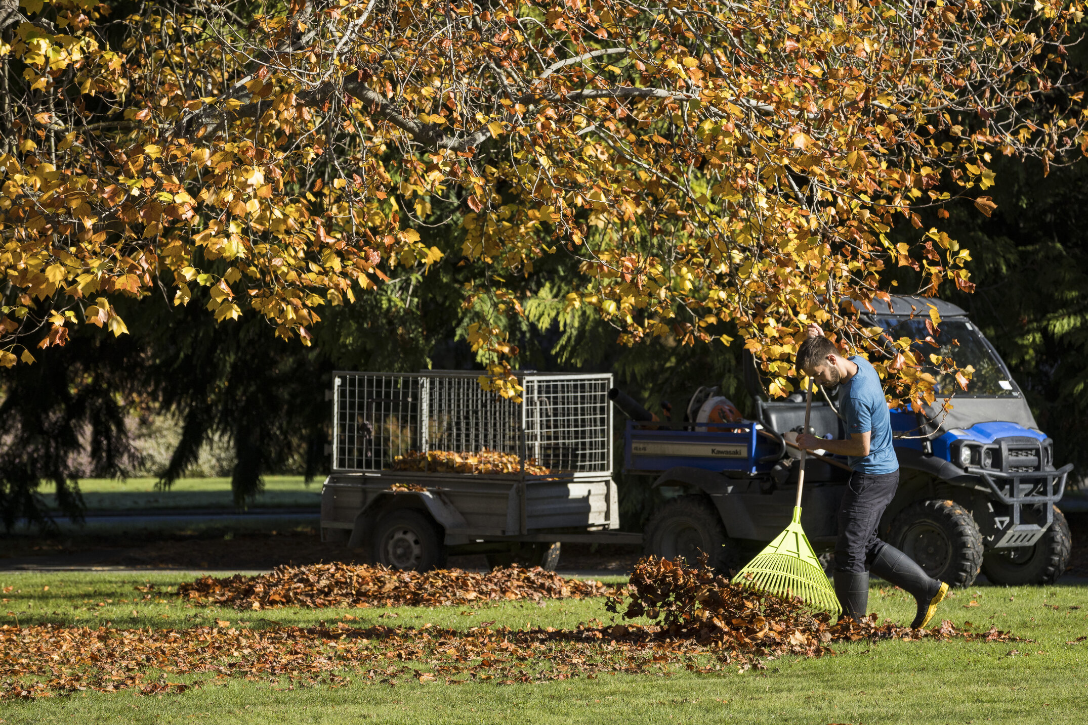 2025 Rā Whakamana Lincoln University (122)