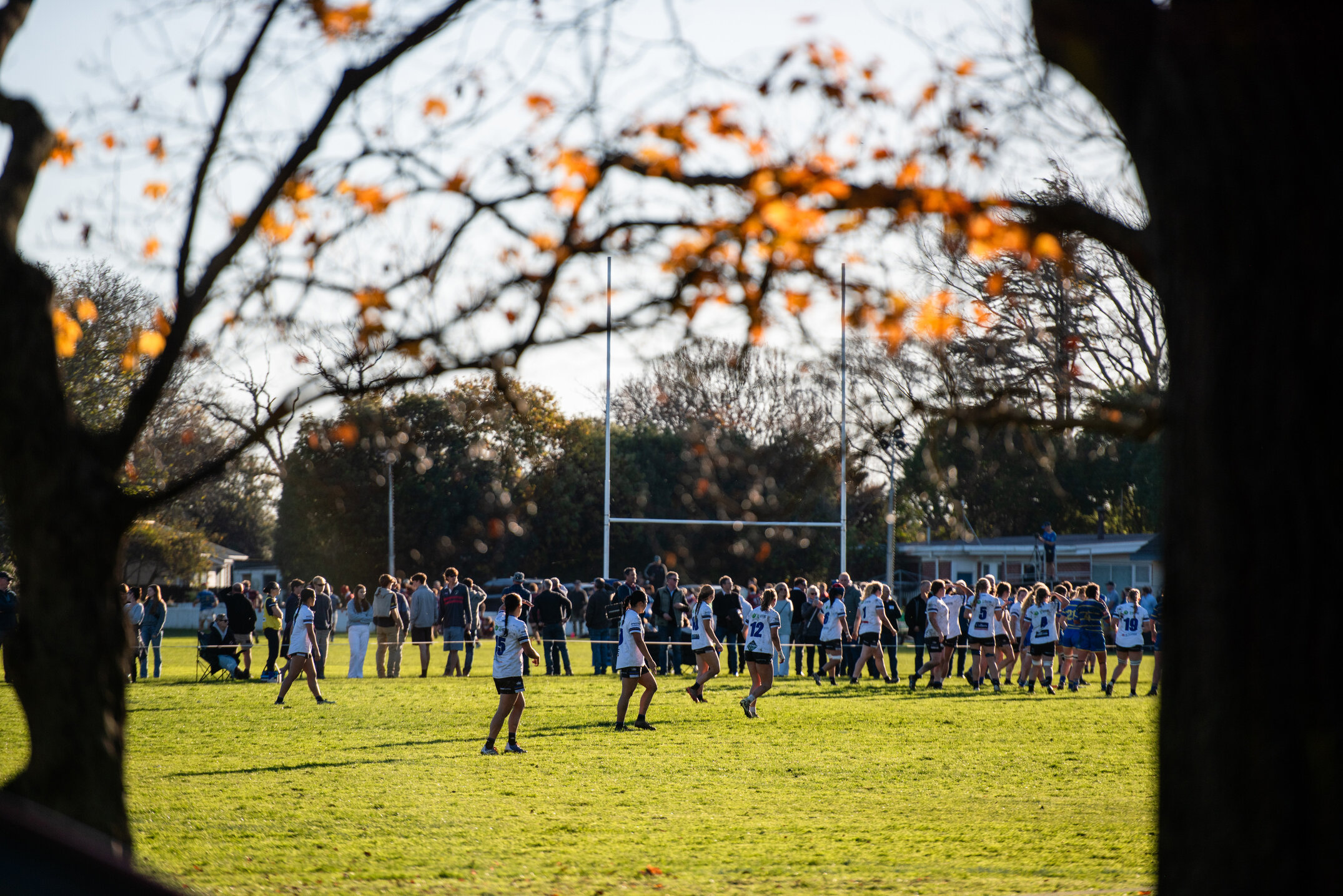 2025 Lincoln College Rugby Reunion Saturday  269