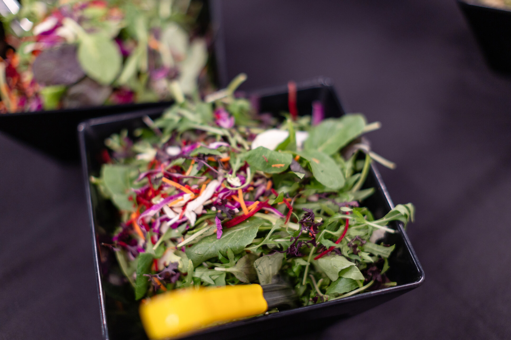 2025 Lincoln College Rugby Reunion Friday 308.jpg