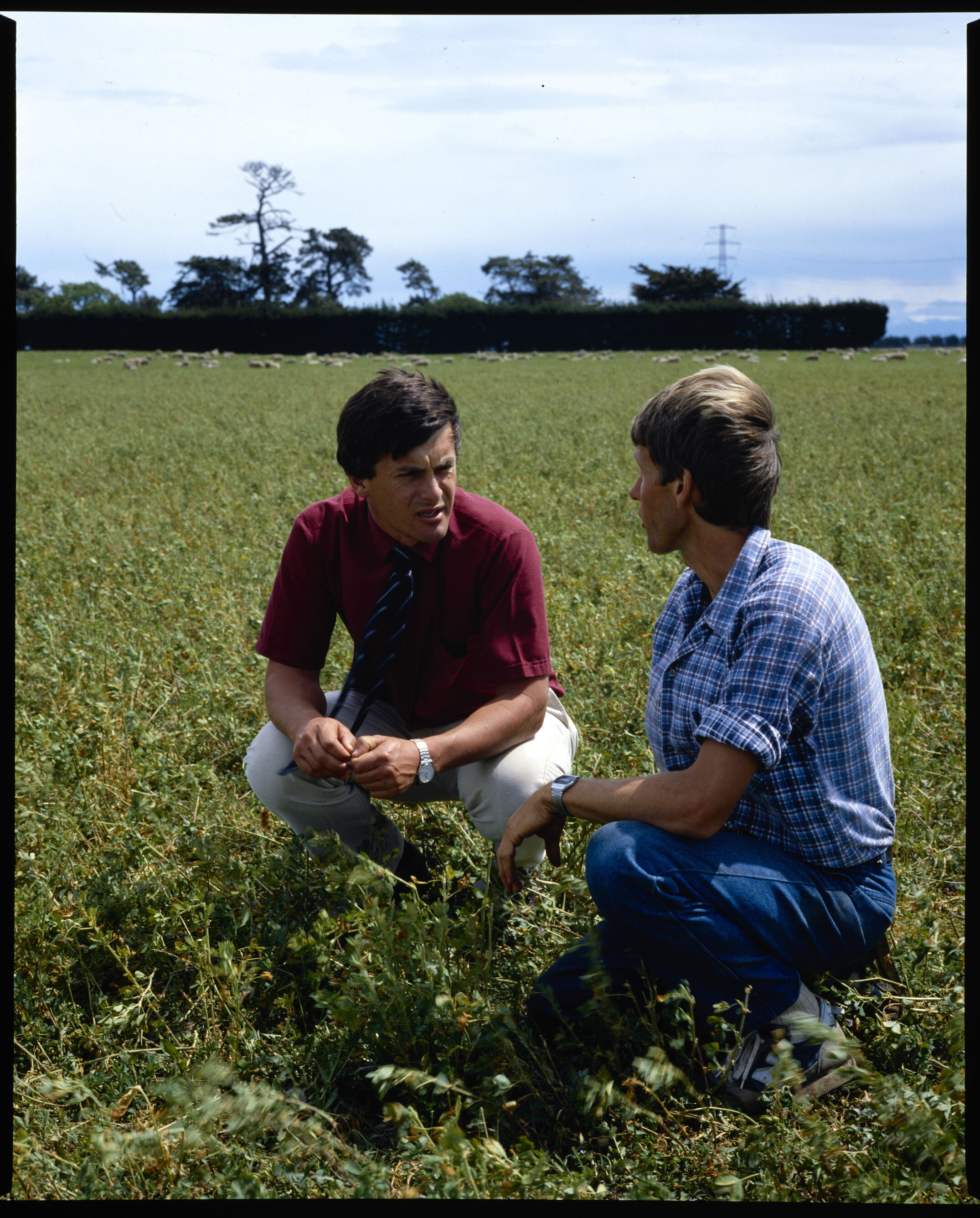 Ashley Dene farm manager Ken Townley (left) with Adam Spiers of the University's Farm Advisory Service, 1987 02