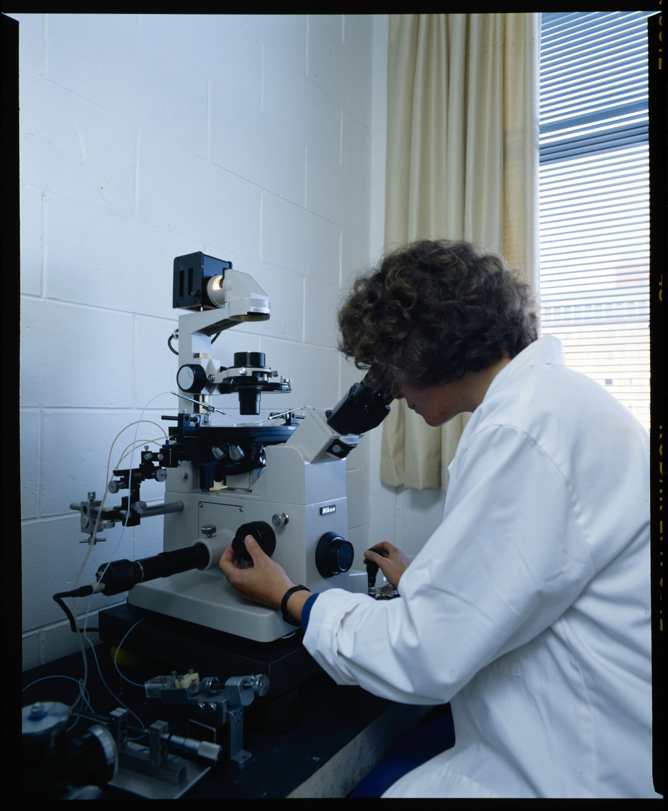 Circa 1980s, a researcher working in a laboratory setting at Lincoln College using a Nikon research microscope