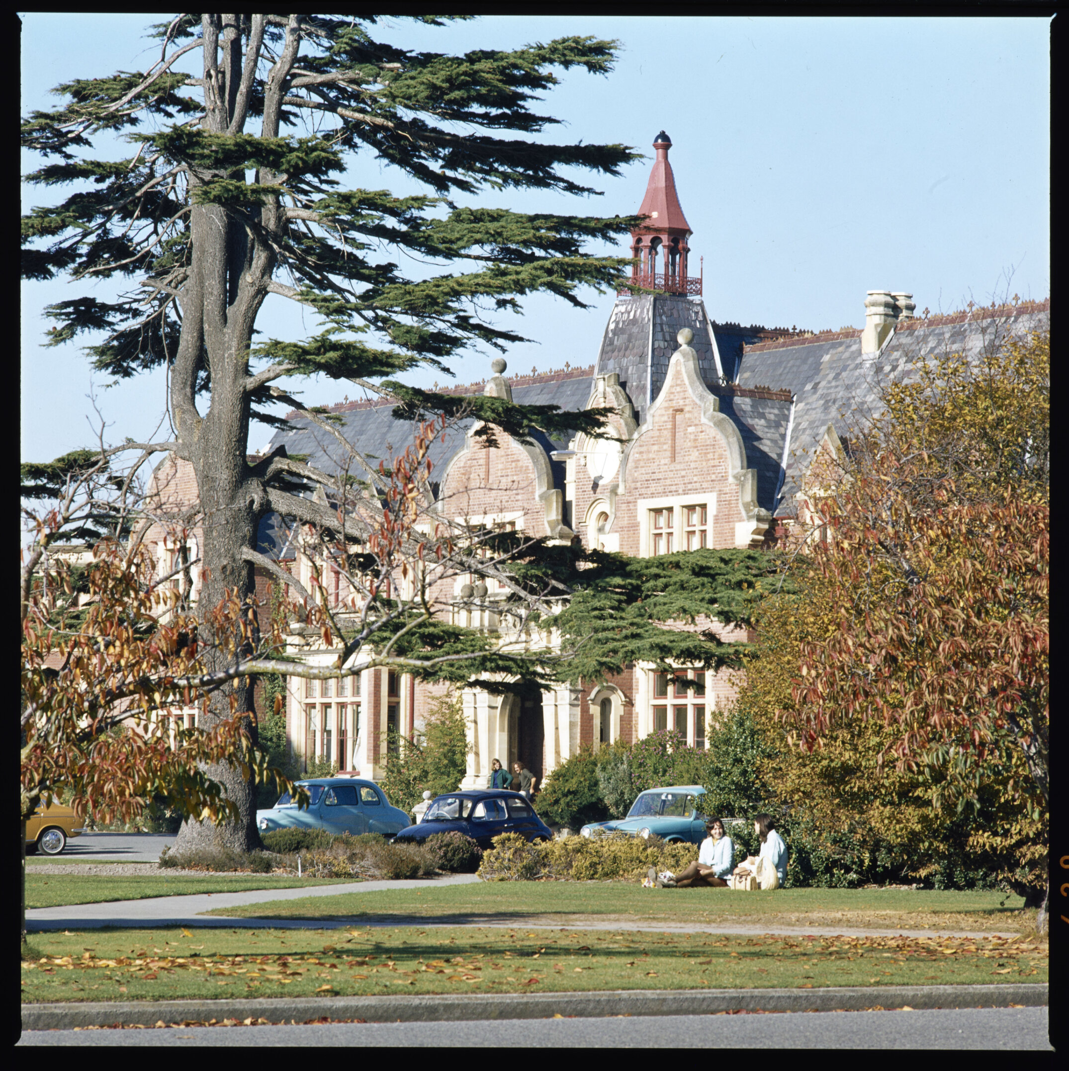 Ivey Hall with a Lebanon Cedar tree in front in the mid 1970s