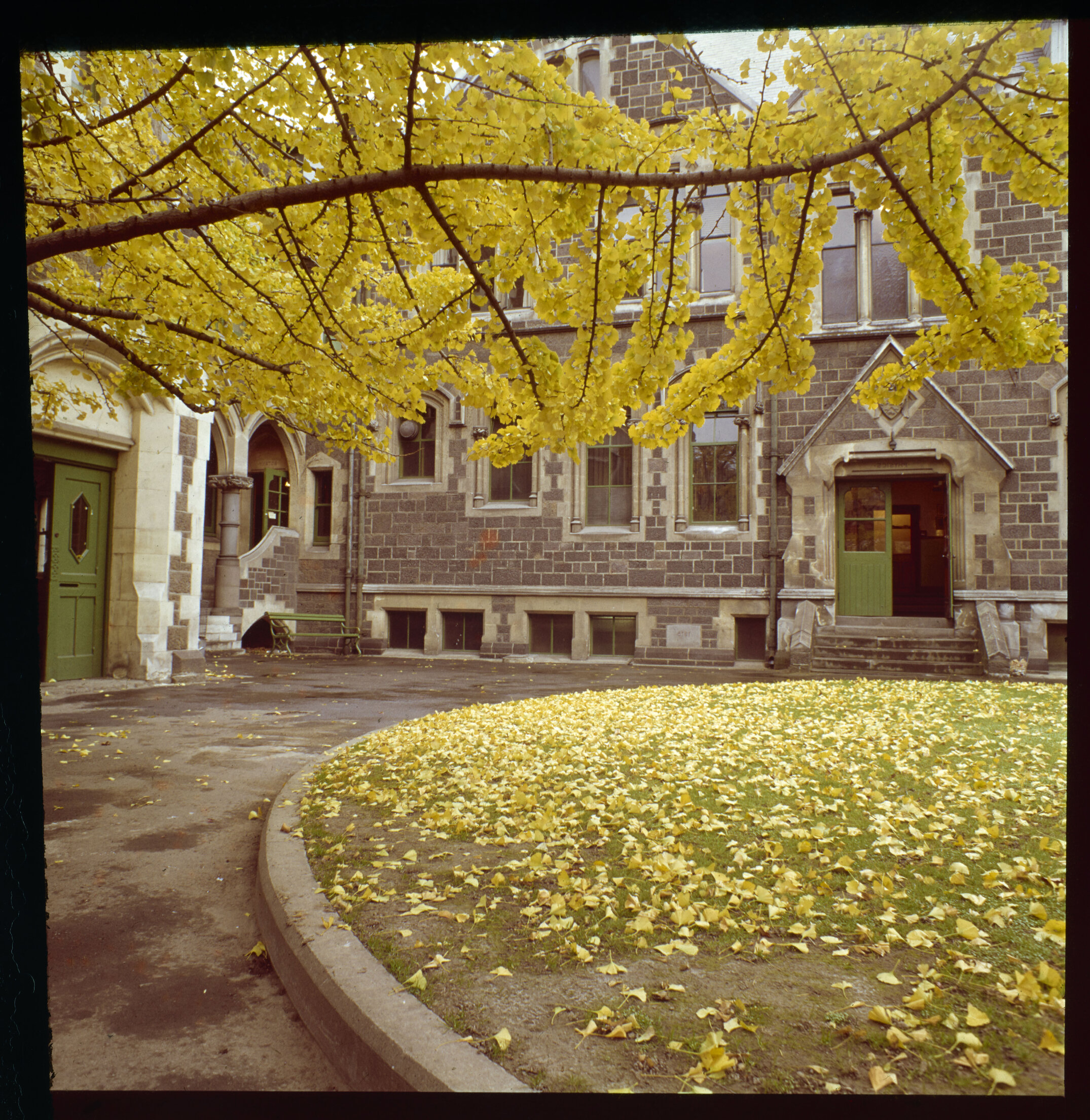 Late 1970s to early 1980s The Arts Centre Te Matatiki Toi Ora