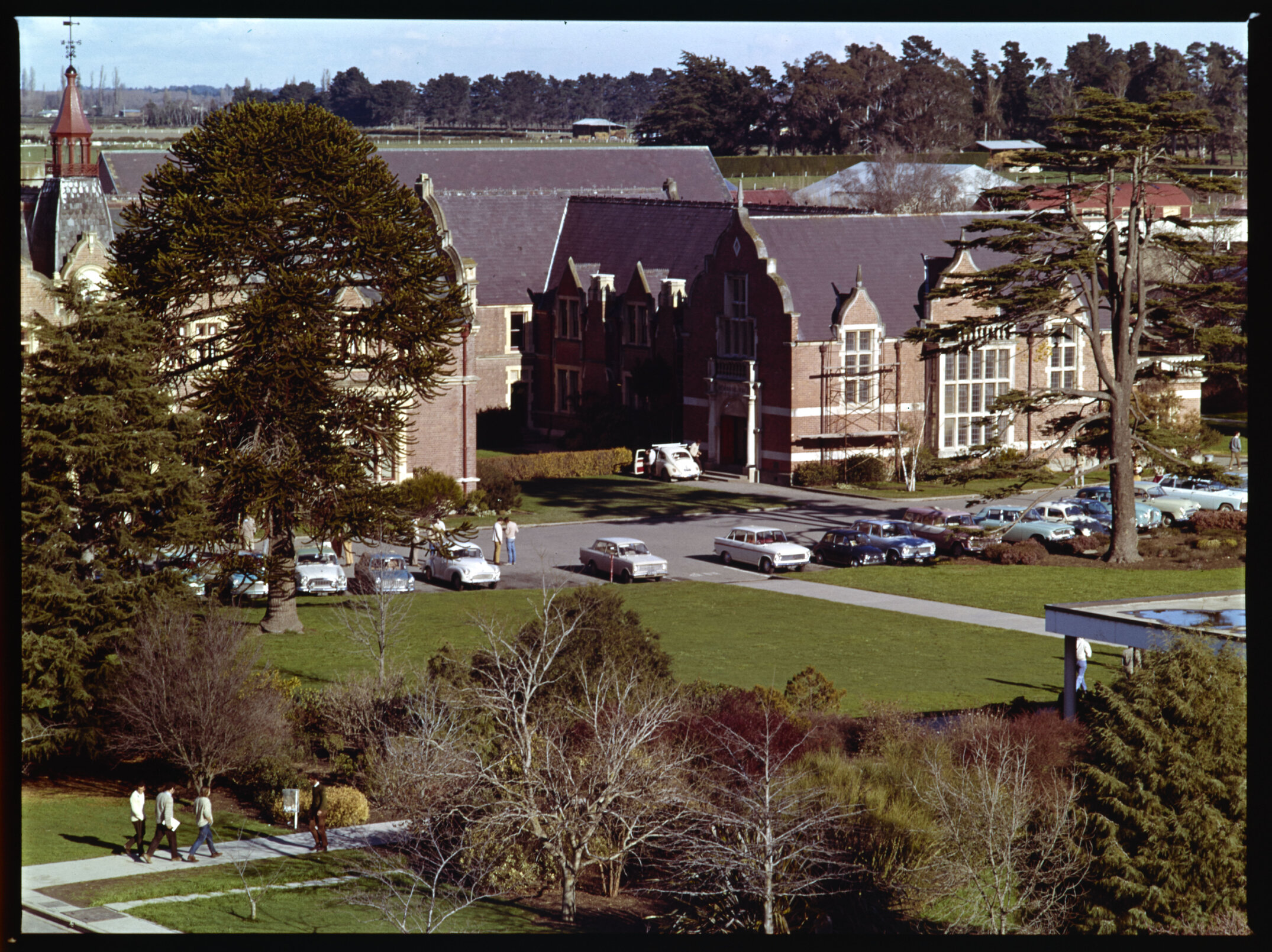 Early to mid 1960s Ivey Hall at Lincoln College with Monkey puzzle tree and Lebanon Cedar tree