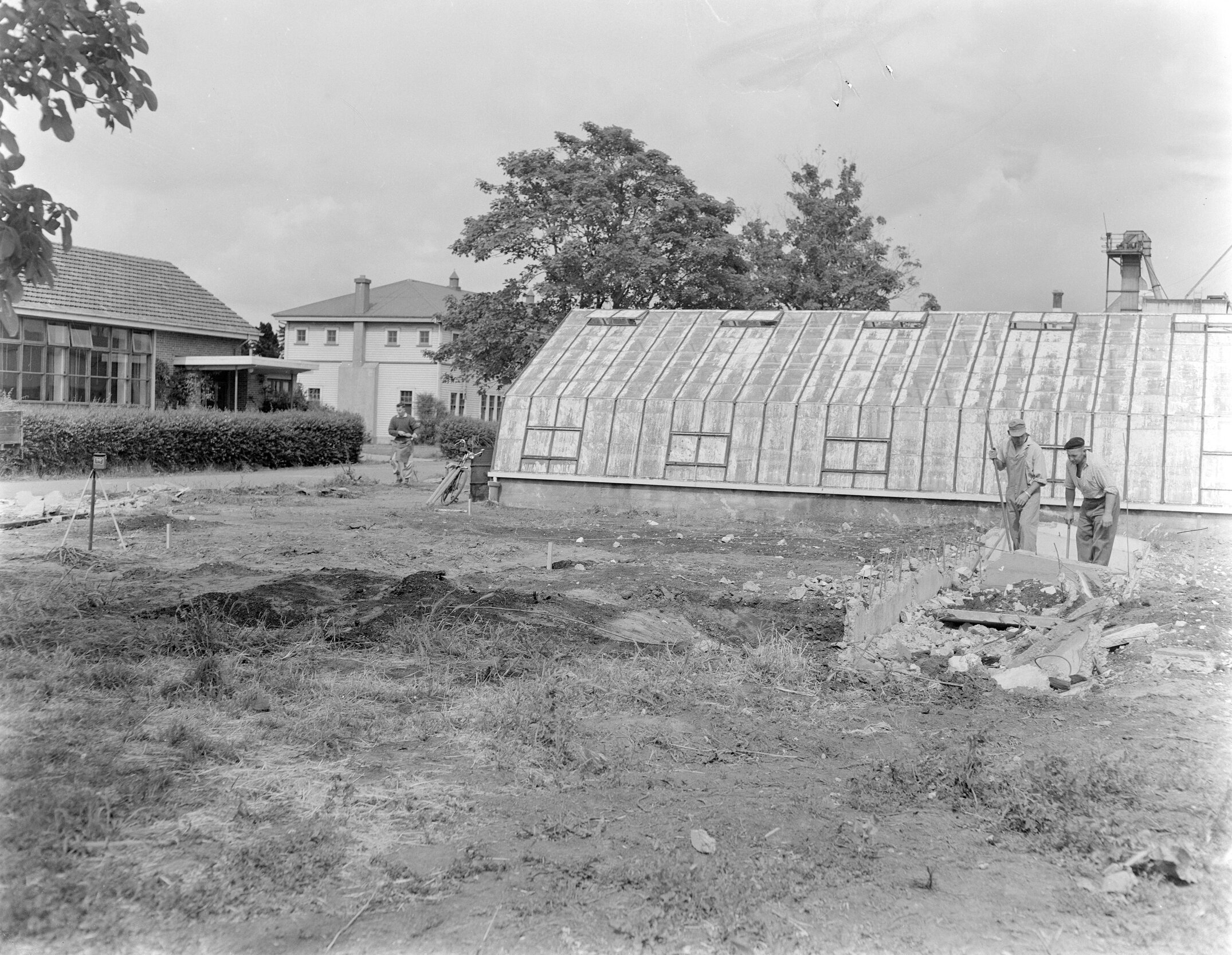 Early Research Glasshouse and Site Development, Canterbury Agricultural College, Circa 1960