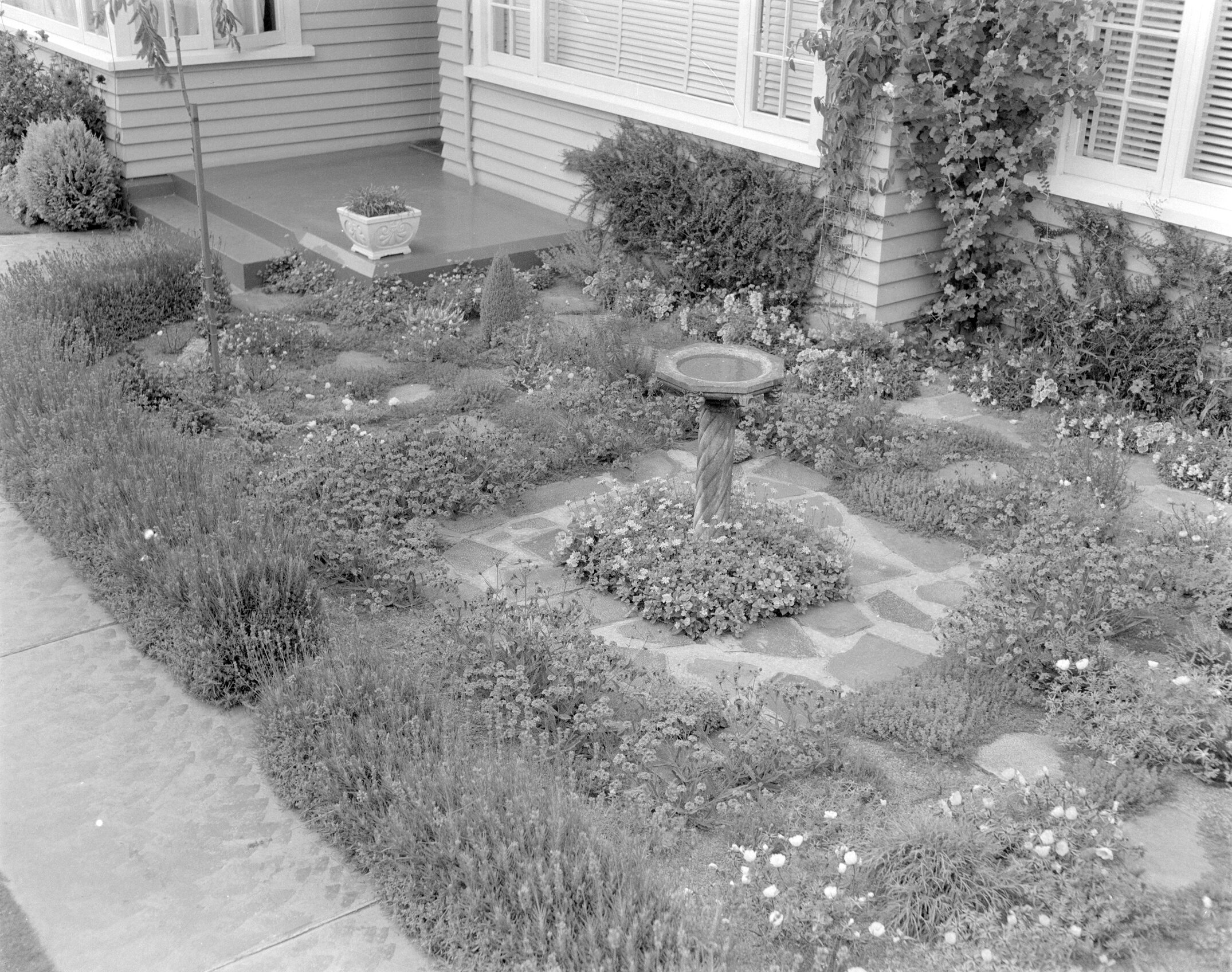 College Garden with Birdbath, Canterbury Agricultural College, Circa 1950s&ndash;1960s