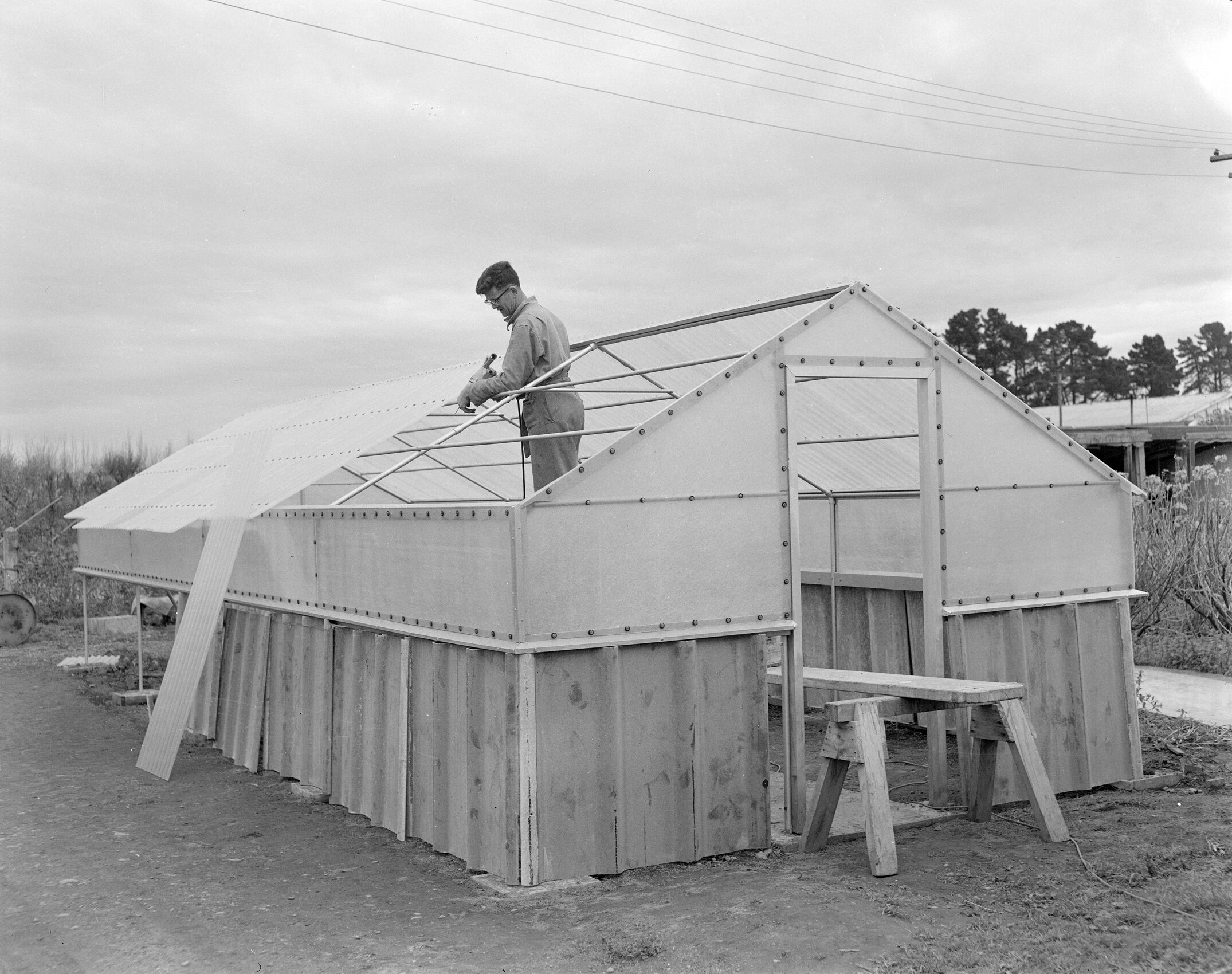 Construction of a greenhouse at Canterbury Agricultural College, Circa 1962