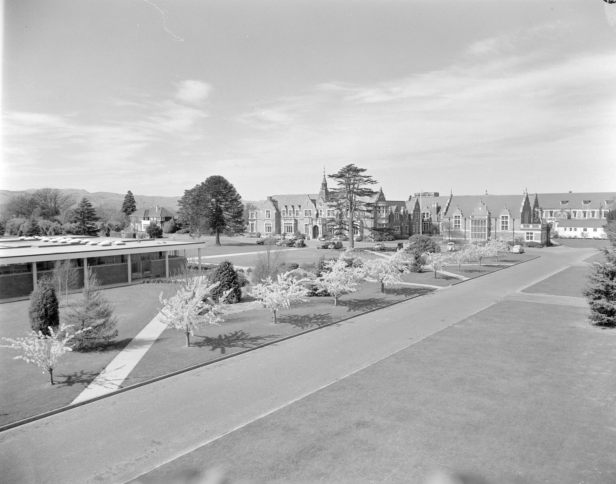 Newly opened George Forbes Memorial Library with Ivey Hall and Memorial Hall in the distance, Canterbury Agricultural College, 1960