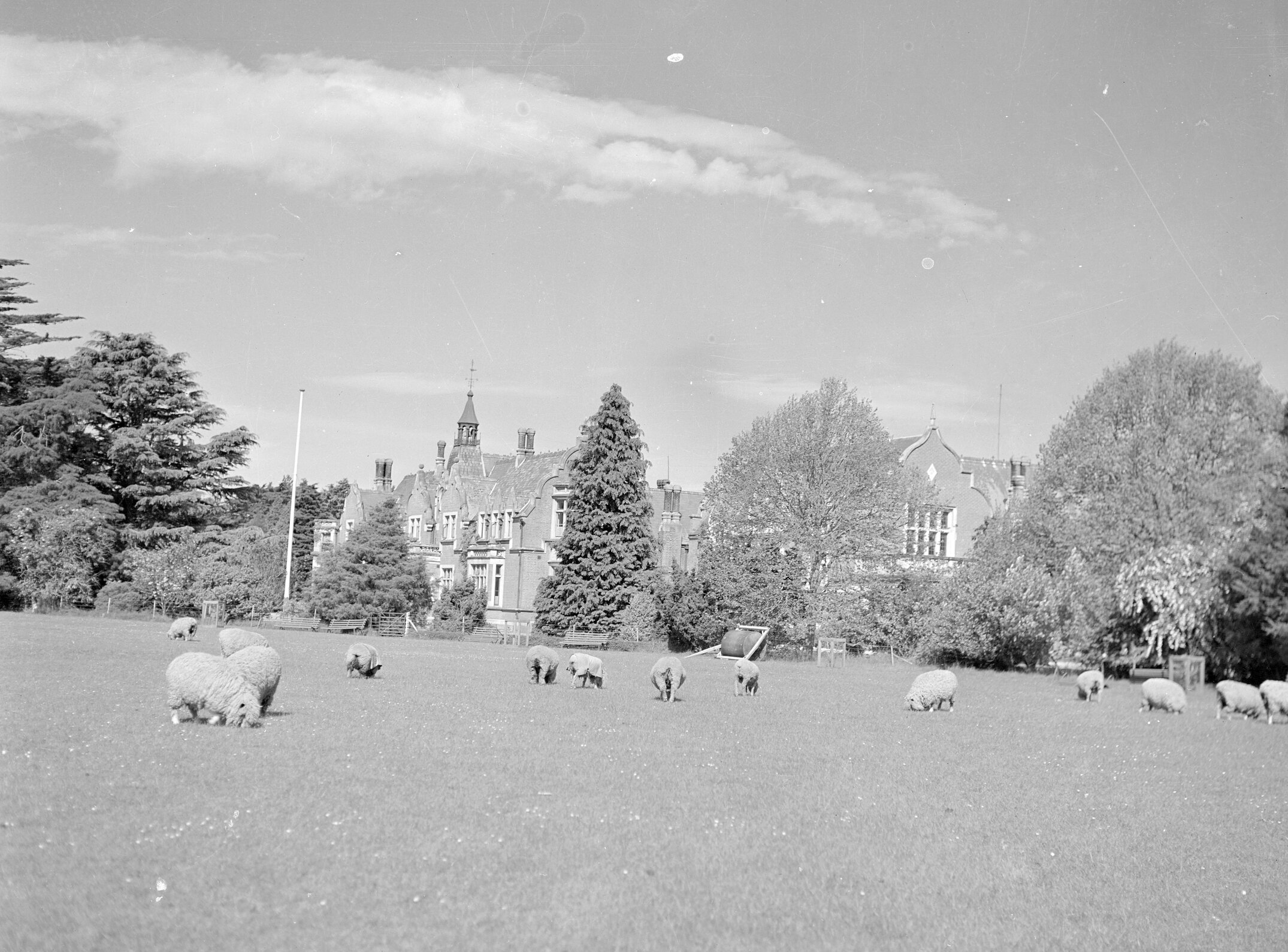 Ivey Hall and Memorial Hall, Canterbury Agricultural College, Nov 1939 (Blackmore Neg5051)