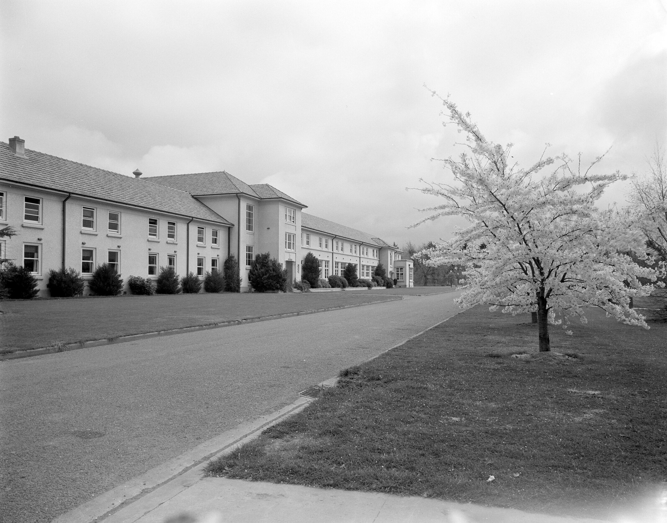 Hudson Hall, Lincoln College campus in spring, circa early&ndash;mid 1960s (Blackmore Neg5056)