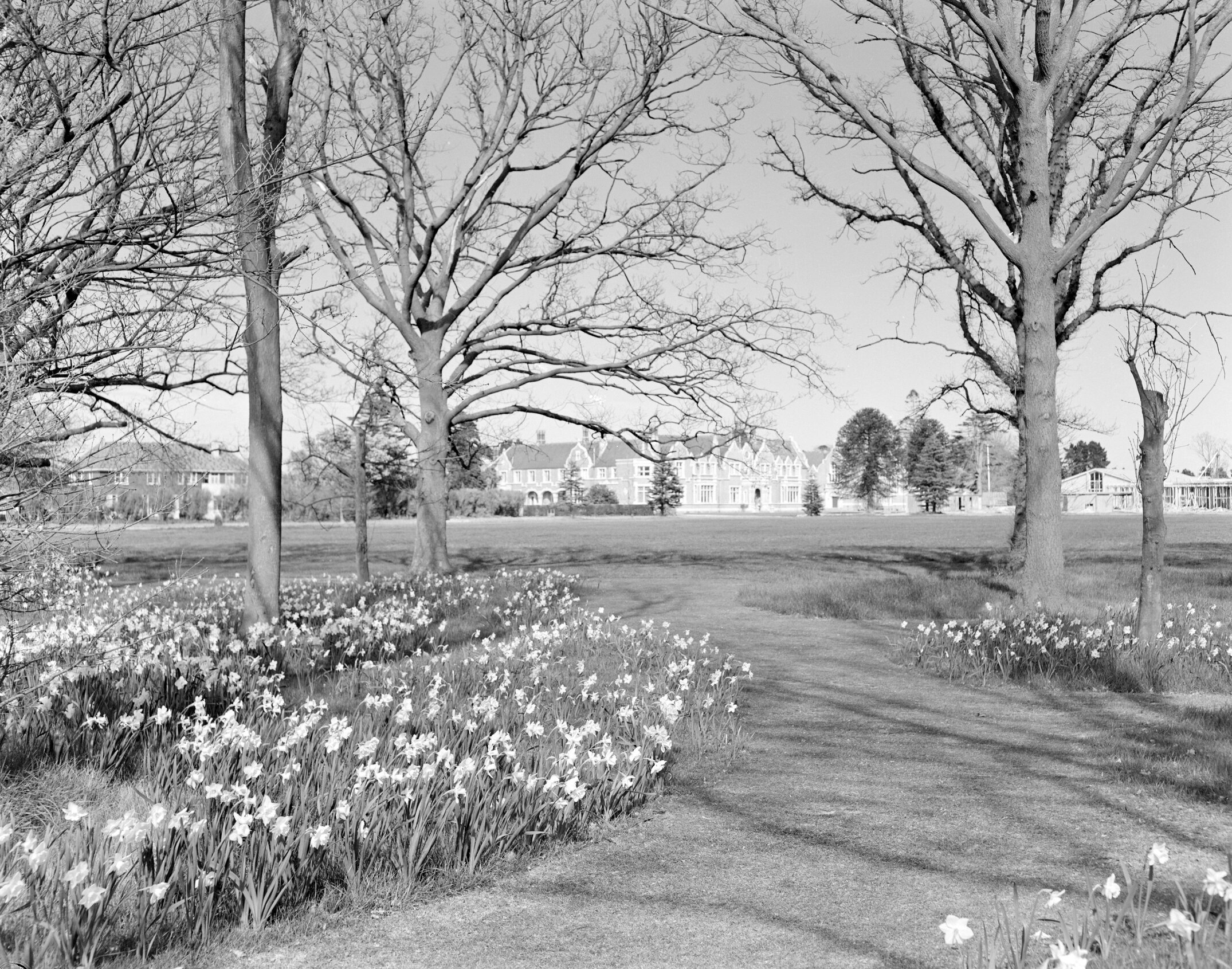 The Lodge, Ivey Hall, and Refectory, Lincoln College campus, circa early-mid 1960s (Blackmore Neg5074)