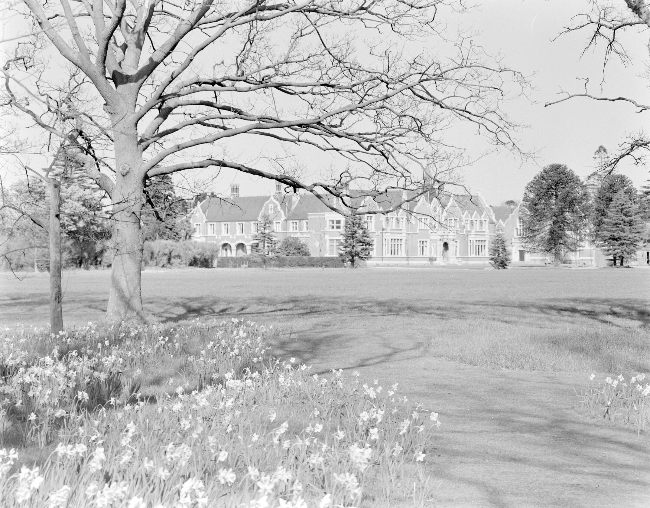 Ivey Hall from the northeast, Lincoln College campus, circa early-mid 1960s (Blackmore Neg5070)