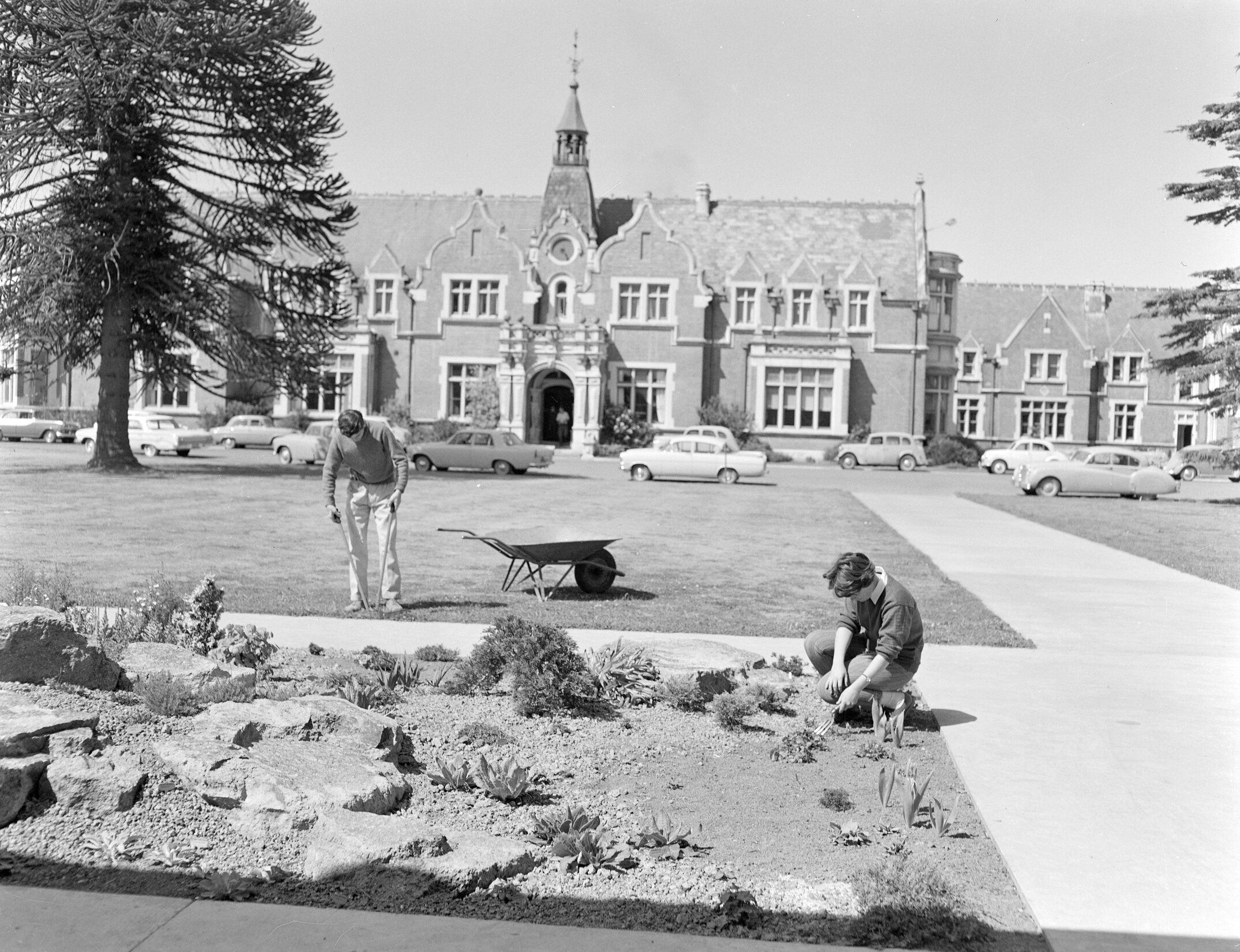 A view of Ivey Hall from Forbes c1960 (Blackmore Neg 5109)
