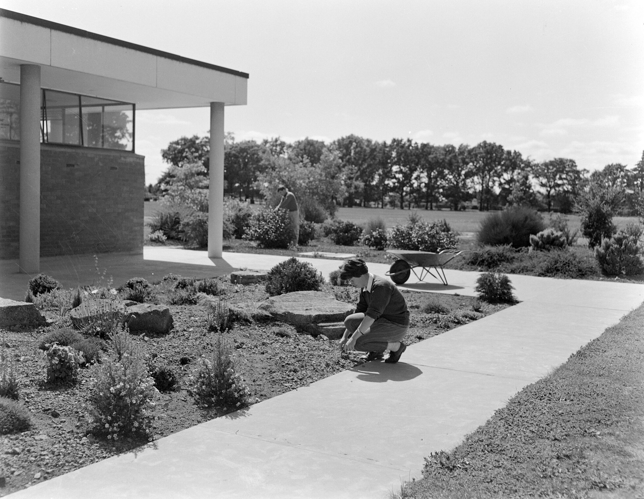 Landscaping in progress outside George Forbes Memorial Library, c1960 (Blackmore Neg 5110)