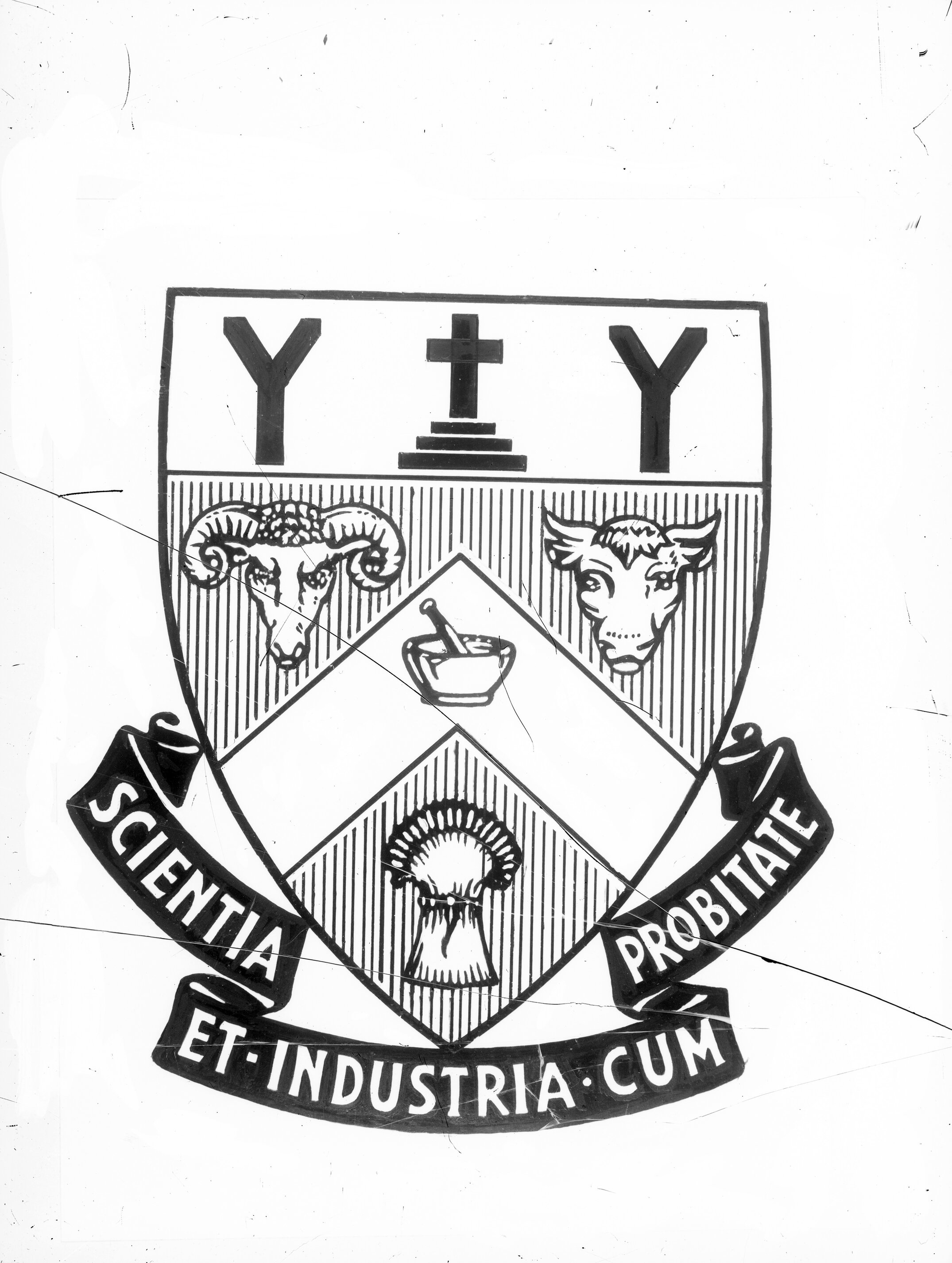 The University Coat of Arms (Blackmore Neg 5112)
