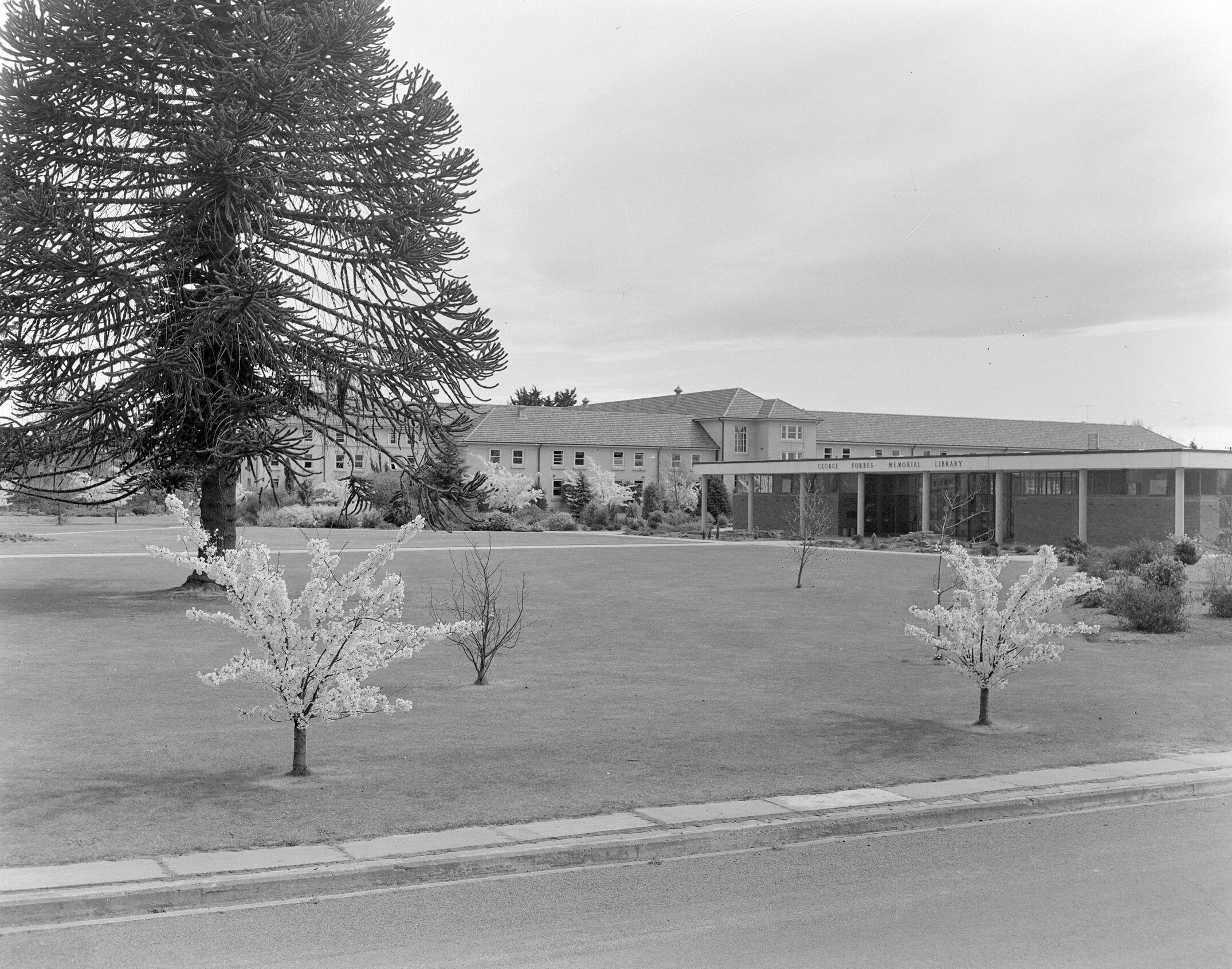 Hudson Hall and George Forbes Memorial Library, Lincoln College grounds (Blackmore Neg 5114)