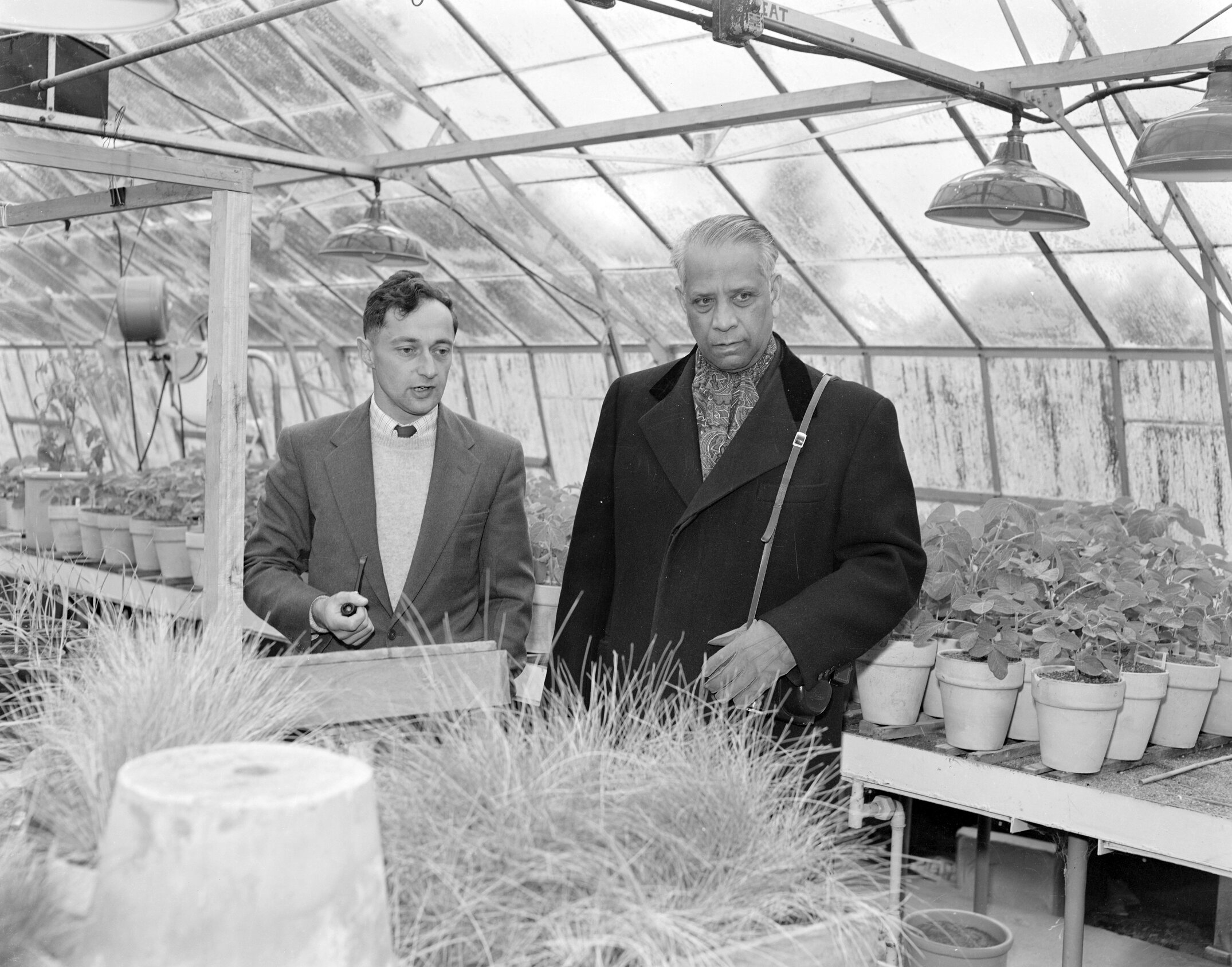 Mr B.R. Sen, Director-General, F.A.O., Rome, discusses grass studies with Professor R.H.M. Langer 1960 (Blackmore Neg 5142)
